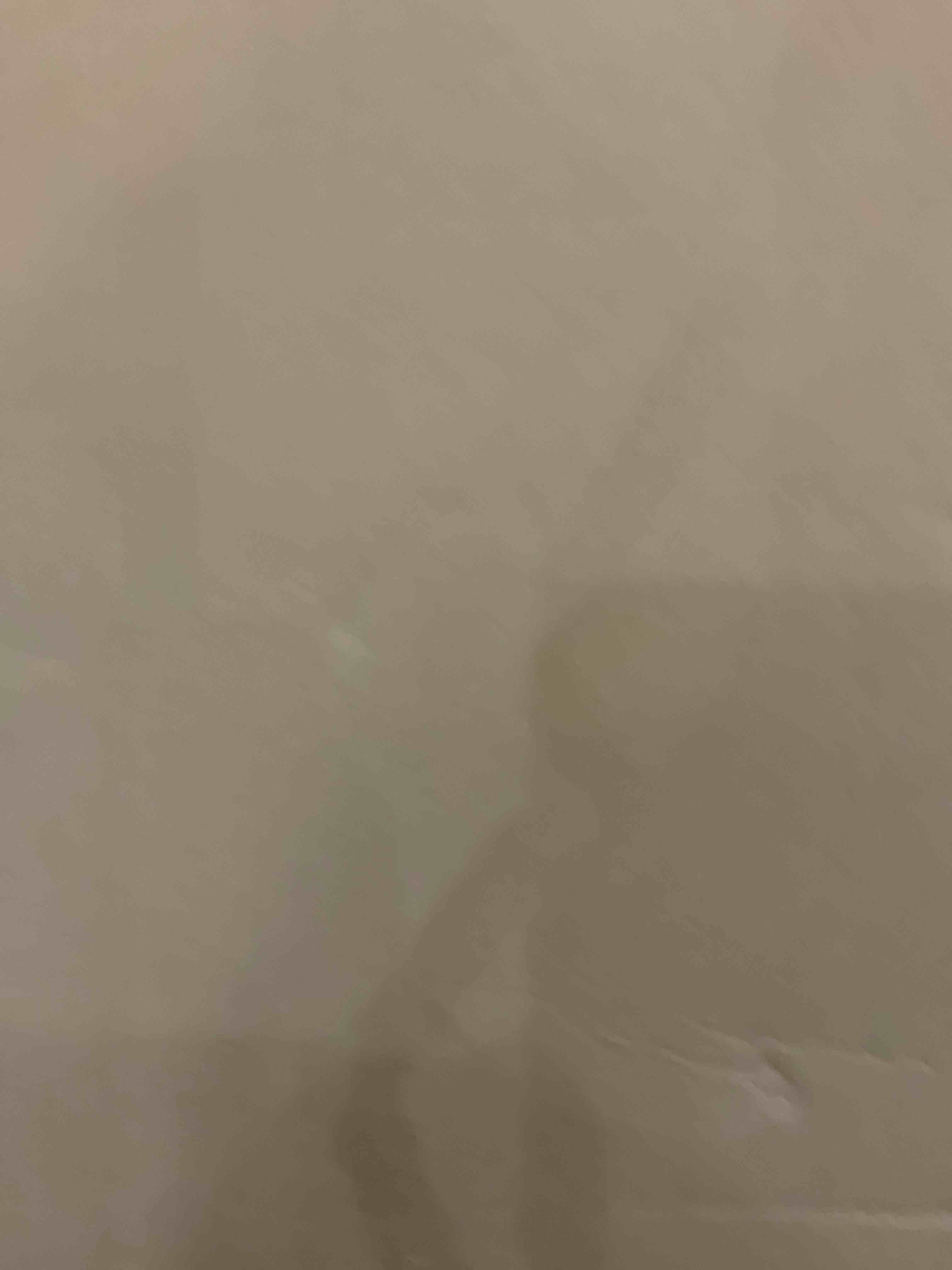 https://s3.amazonaws.com/lotting-images-prod/bidfta/EXS00812917_1698853441489.jpeg