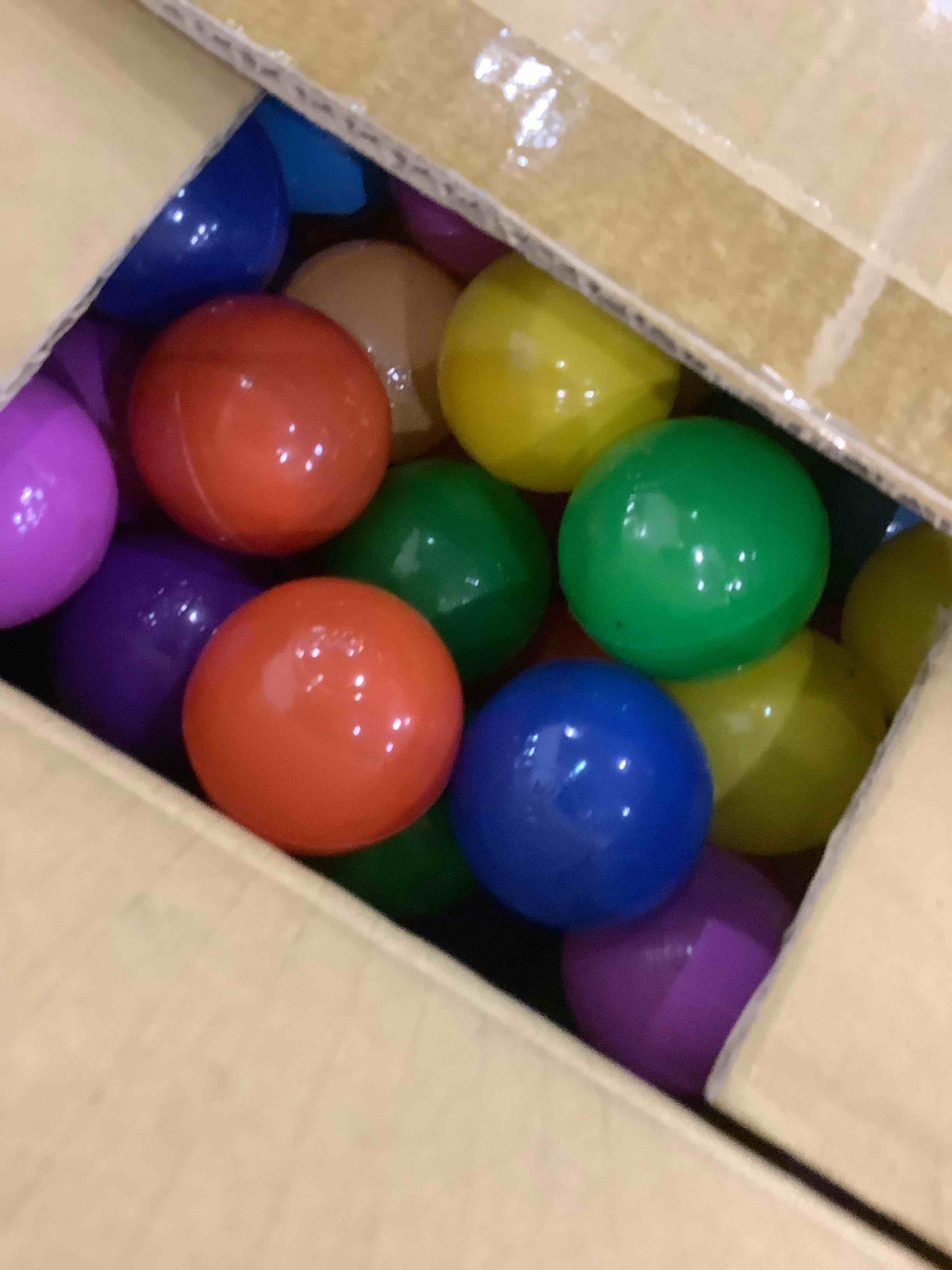https://s3.amazonaws.com/lotting-images-prod/bidfta/EXS00817703_1698668135898.jpeg