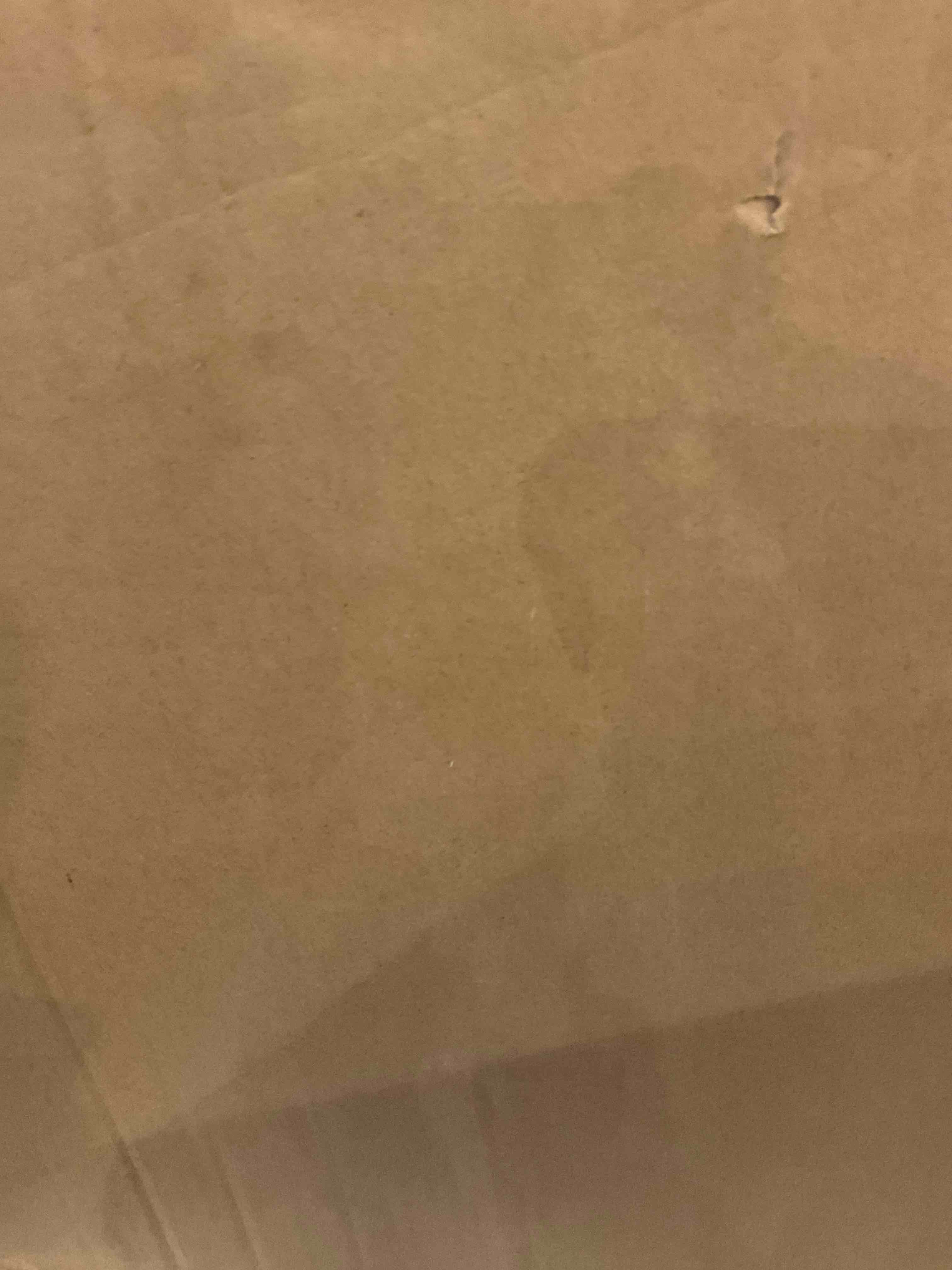 https://s3.amazonaws.com/lotting-images-prod/bidfta/EXS00826089_1699465733533.jpeg