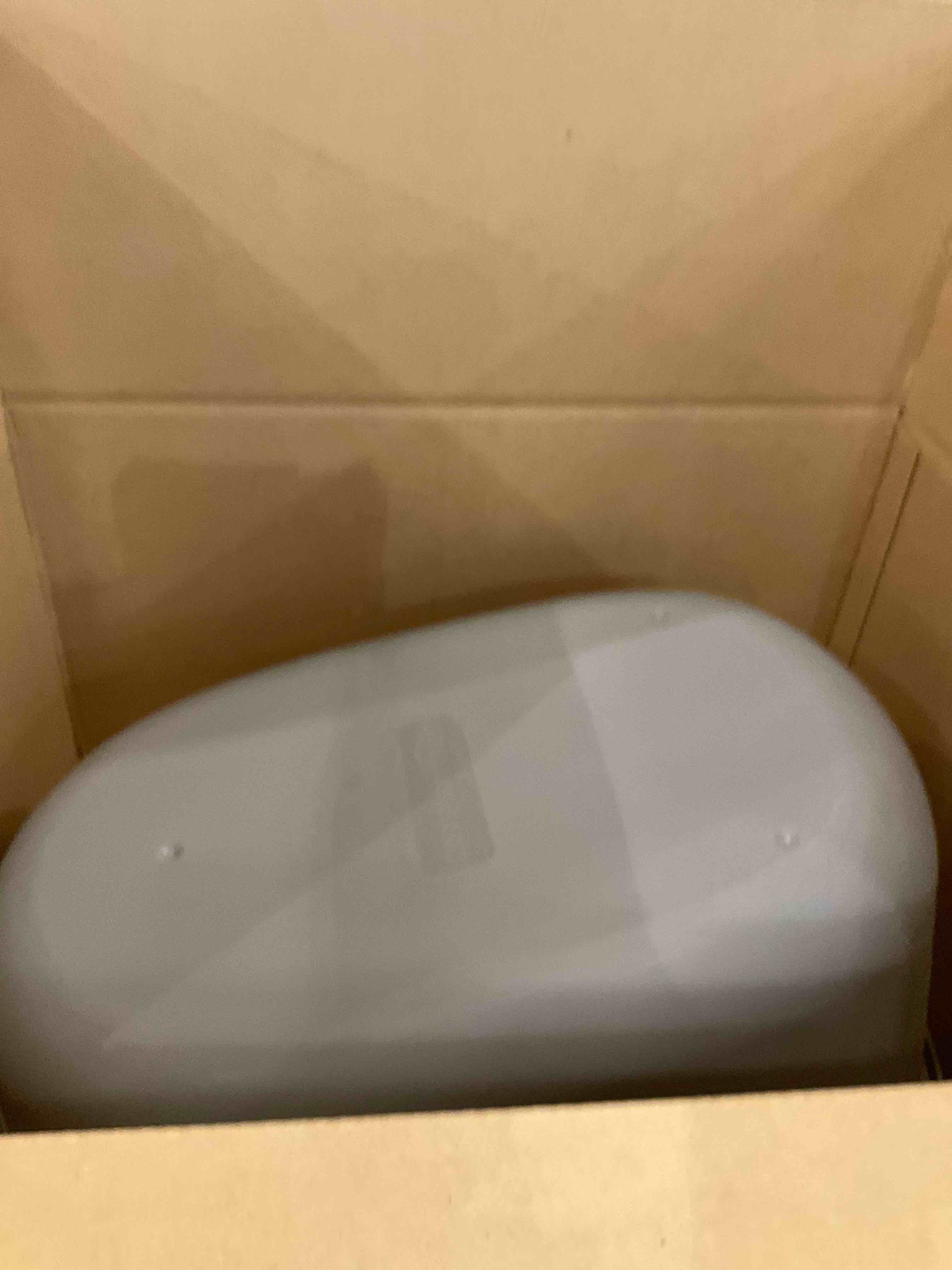 Amazon Basics NoMess Hooded Cat Litter Box, 21 x 16 x 15 Inches, Standard