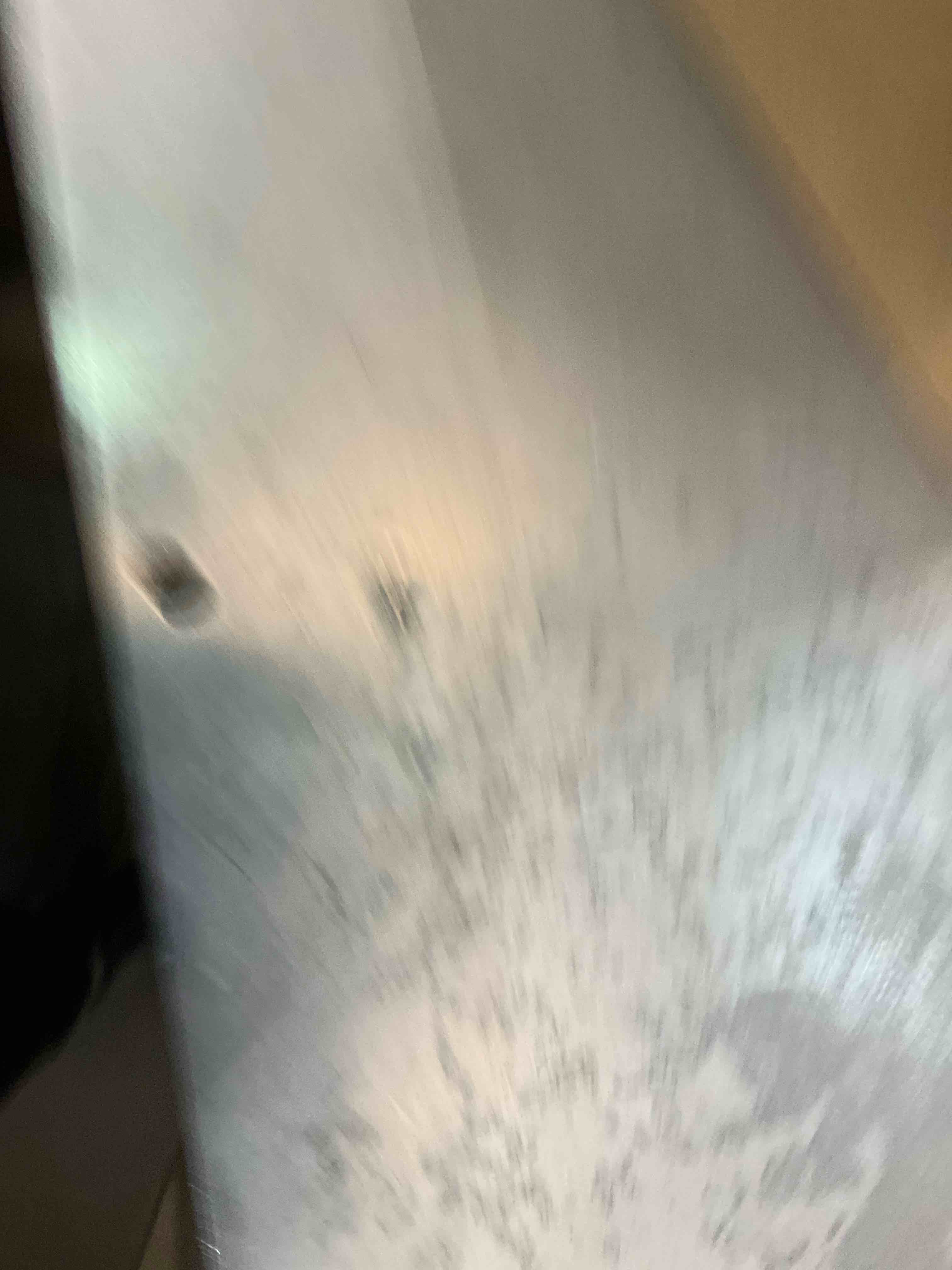 https://s3.amazonaws.com/lotting-images-prod/bidfta/EXS00851040_1703698620472.jpeg