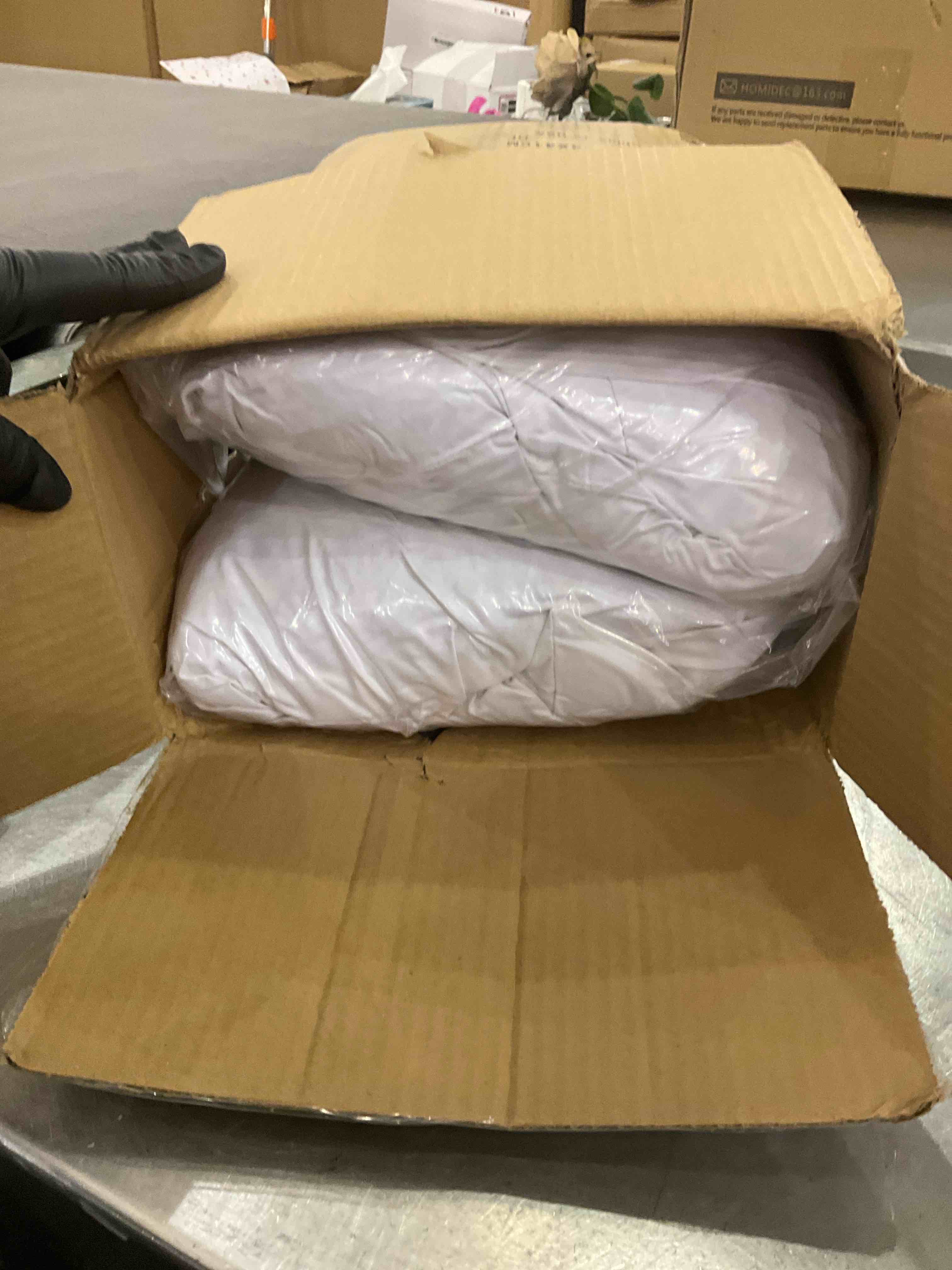https://s3.amazonaws.com/lotting-images-prod/bidfta/EXS00851524_1704465657280.jpeg
