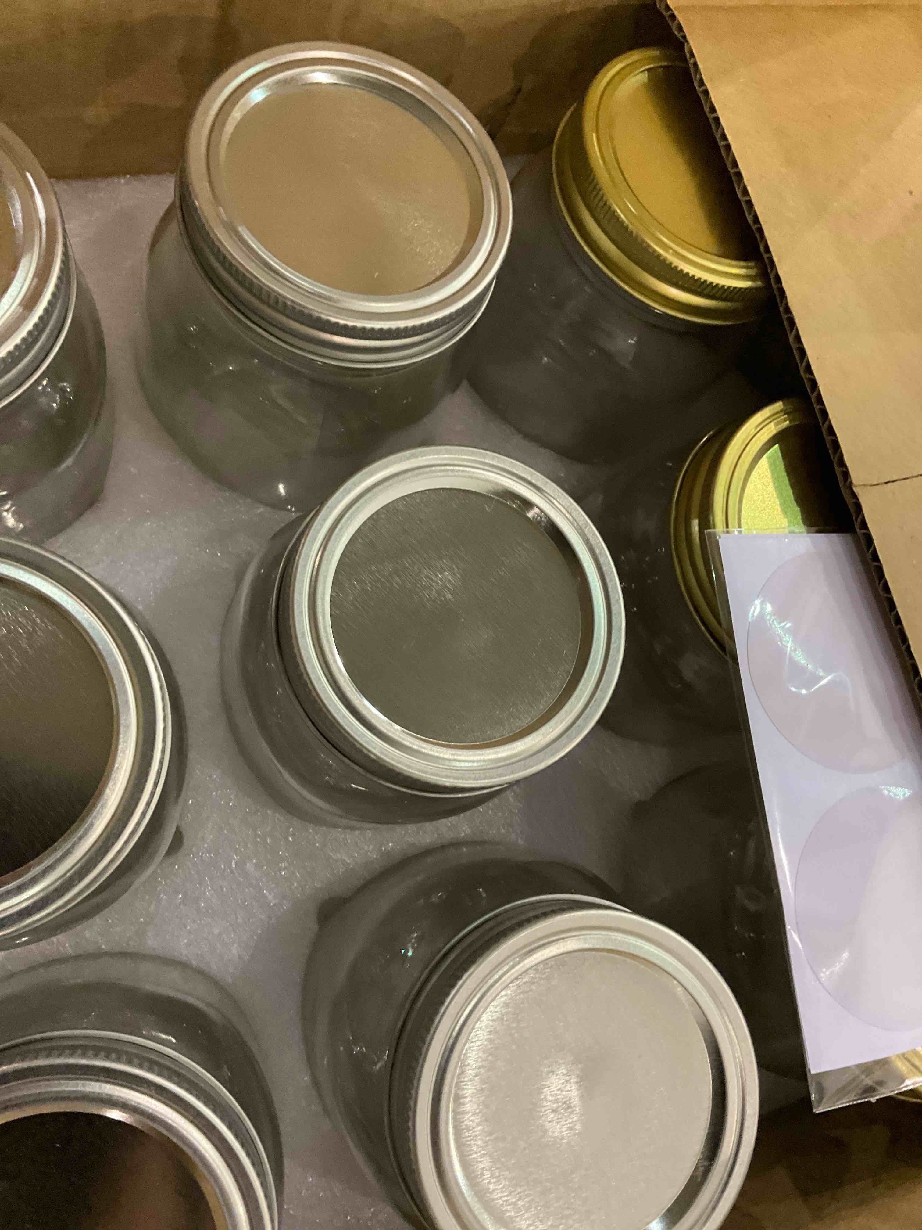SKOCHE Mason Jars 16 oz with Airtight Lids and Bands, 12 Pack Pint Clear Glass Regular Mouth Canning Jars, Ideal for Pickling, Fermenting, DIY Decors, Fruit Preserves, Jam or Jelly, 12 Labels