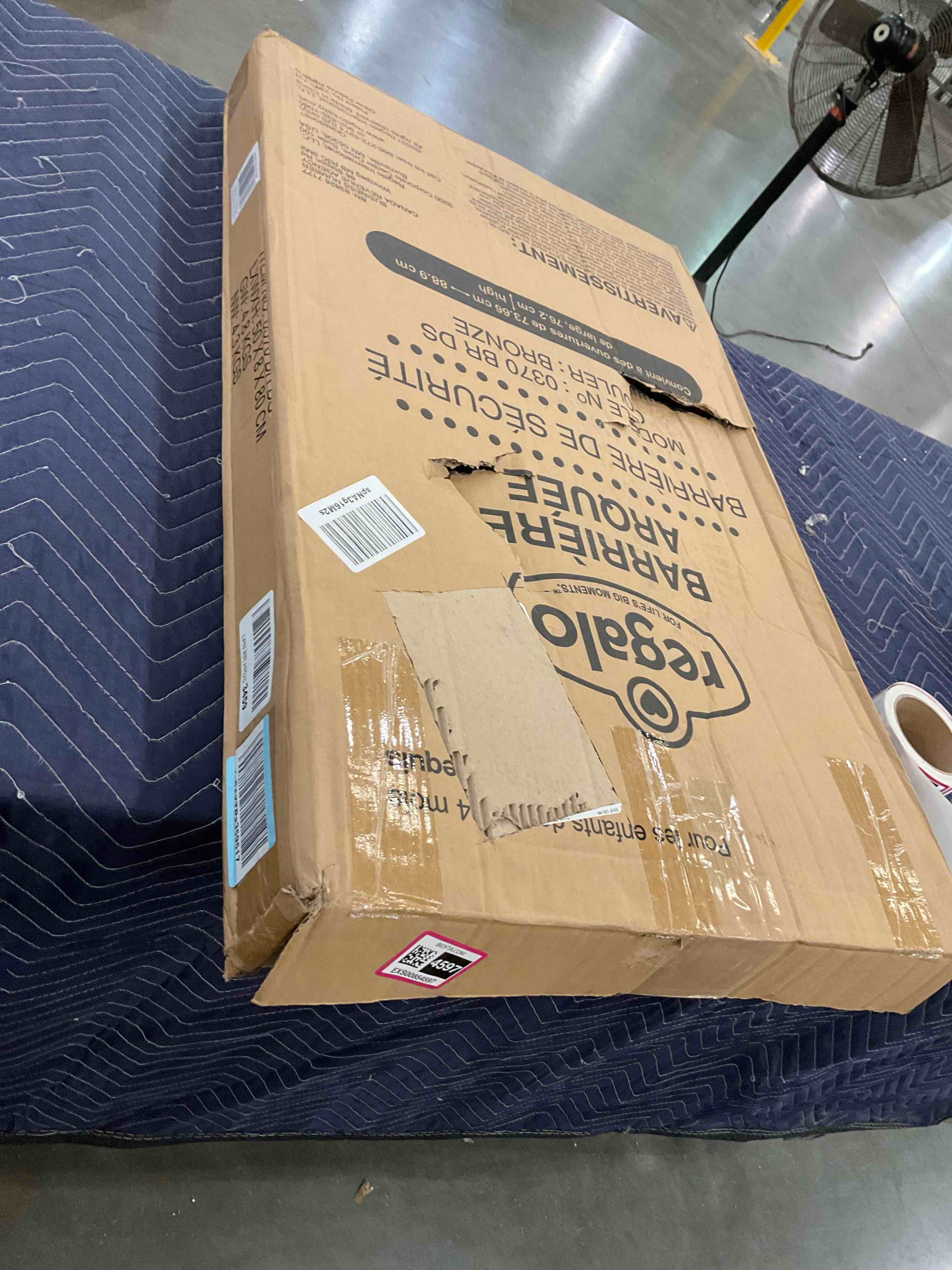 https://s3.amazonaws.com/lotting-images-prod/bidfta/EXS00854597_1705952226603.jpeg