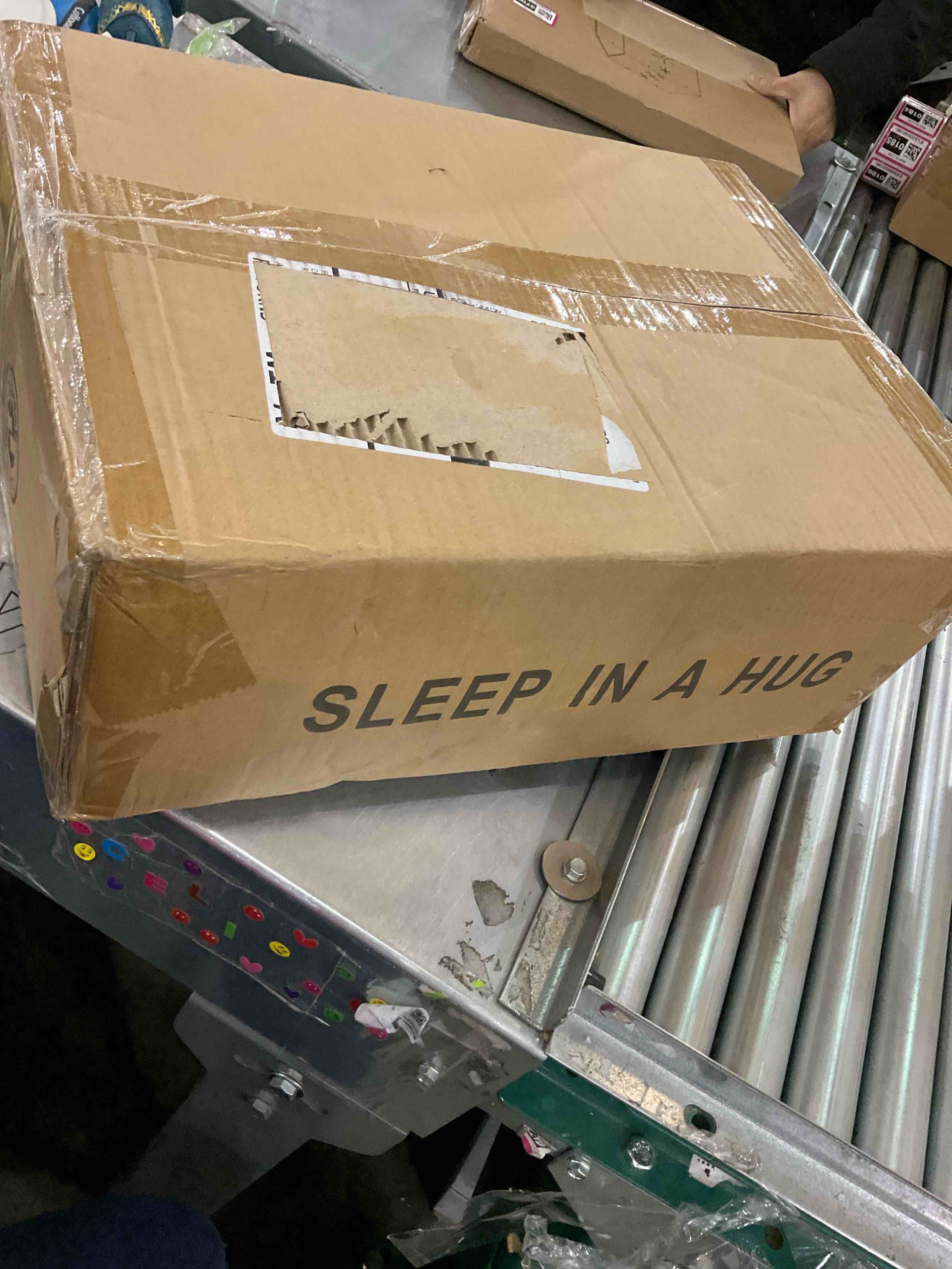https://s3.amazonaws.com/lotting-images-prod/bidfta/EXS00859362_1704226704072.jpeg