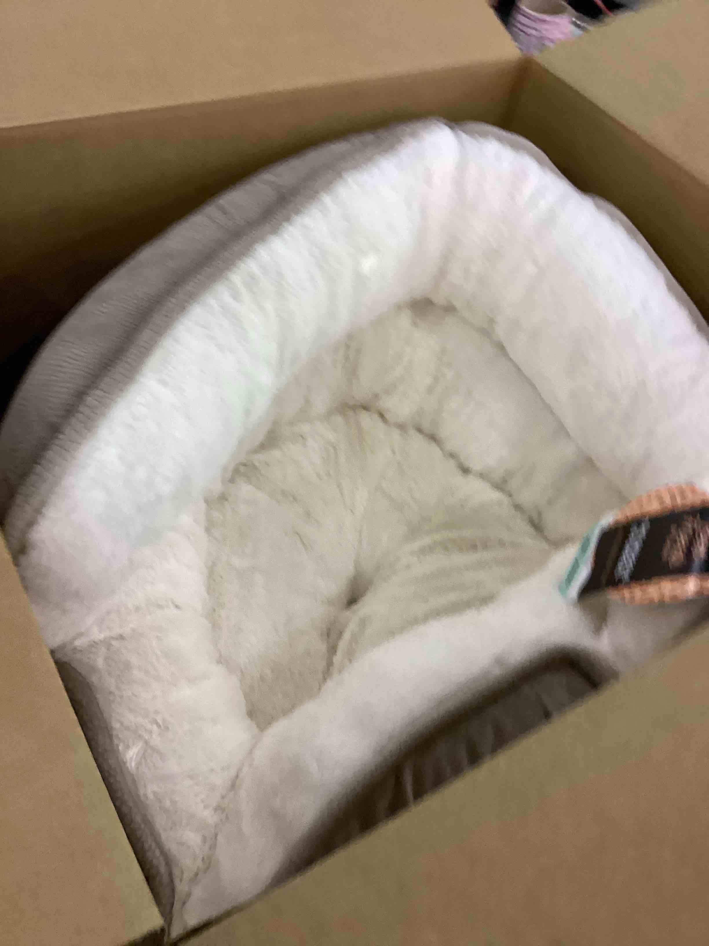 https://s3.amazonaws.com/lotting-images-prod/bidfta/EXS00860415_1700513395937.jpeg