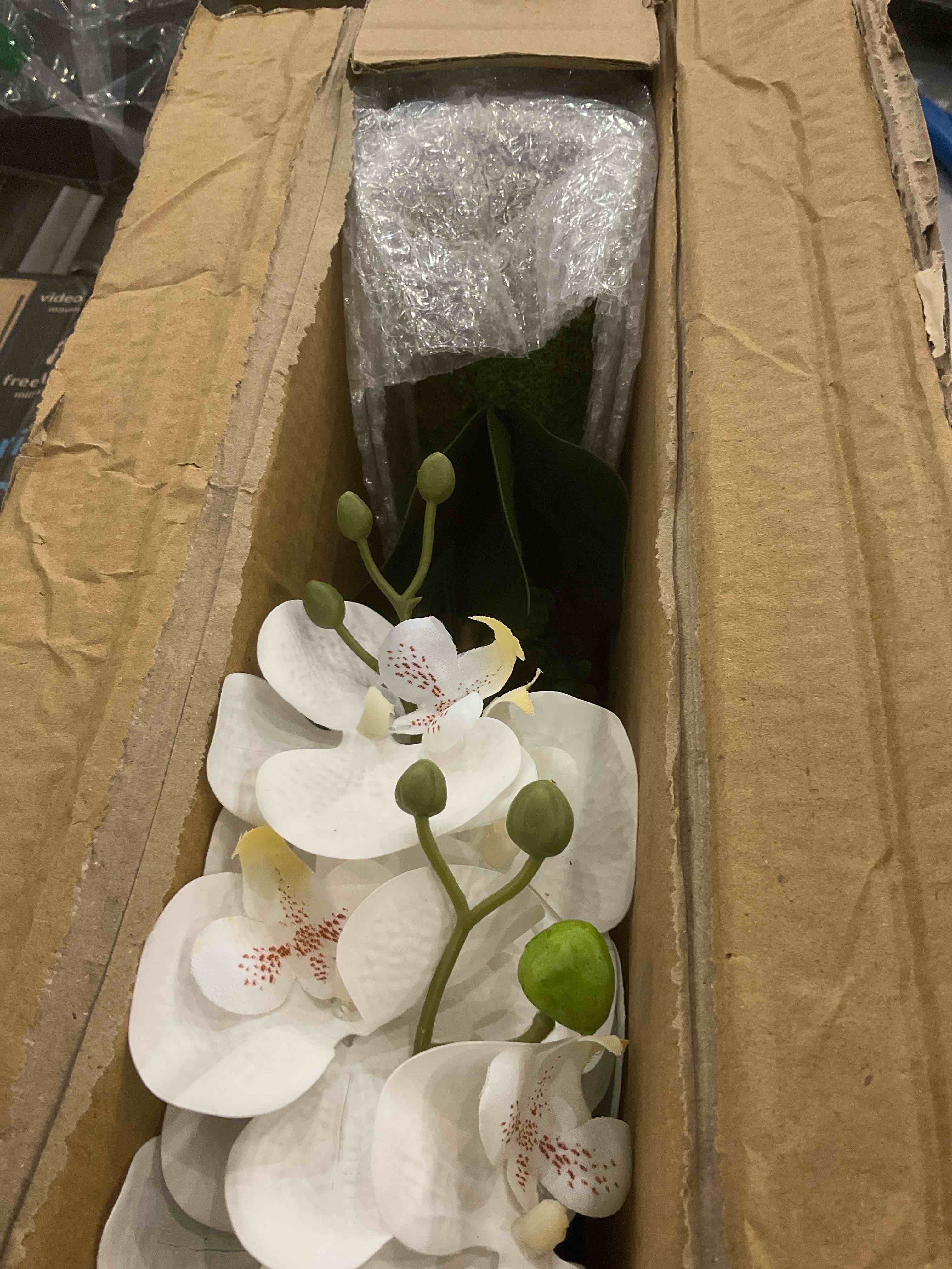 https://s3.amazonaws.com/lotting-images-prod/bidfta/EXS00867886_1699552314803.jpeg