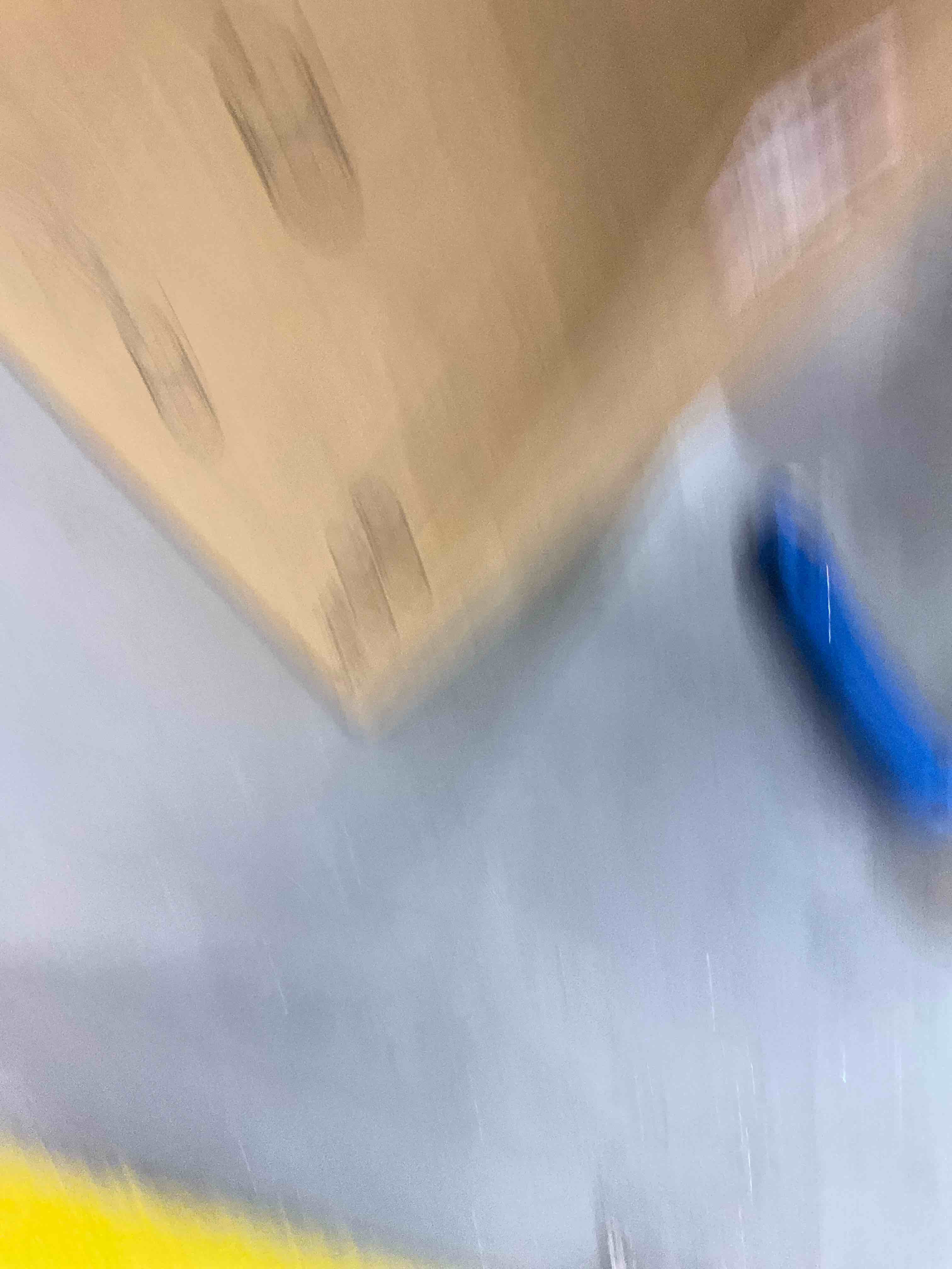 https://s3.amazonaws.com/lotting-images-prod/bidfta/EXS00895221_1699555109921.jpeg