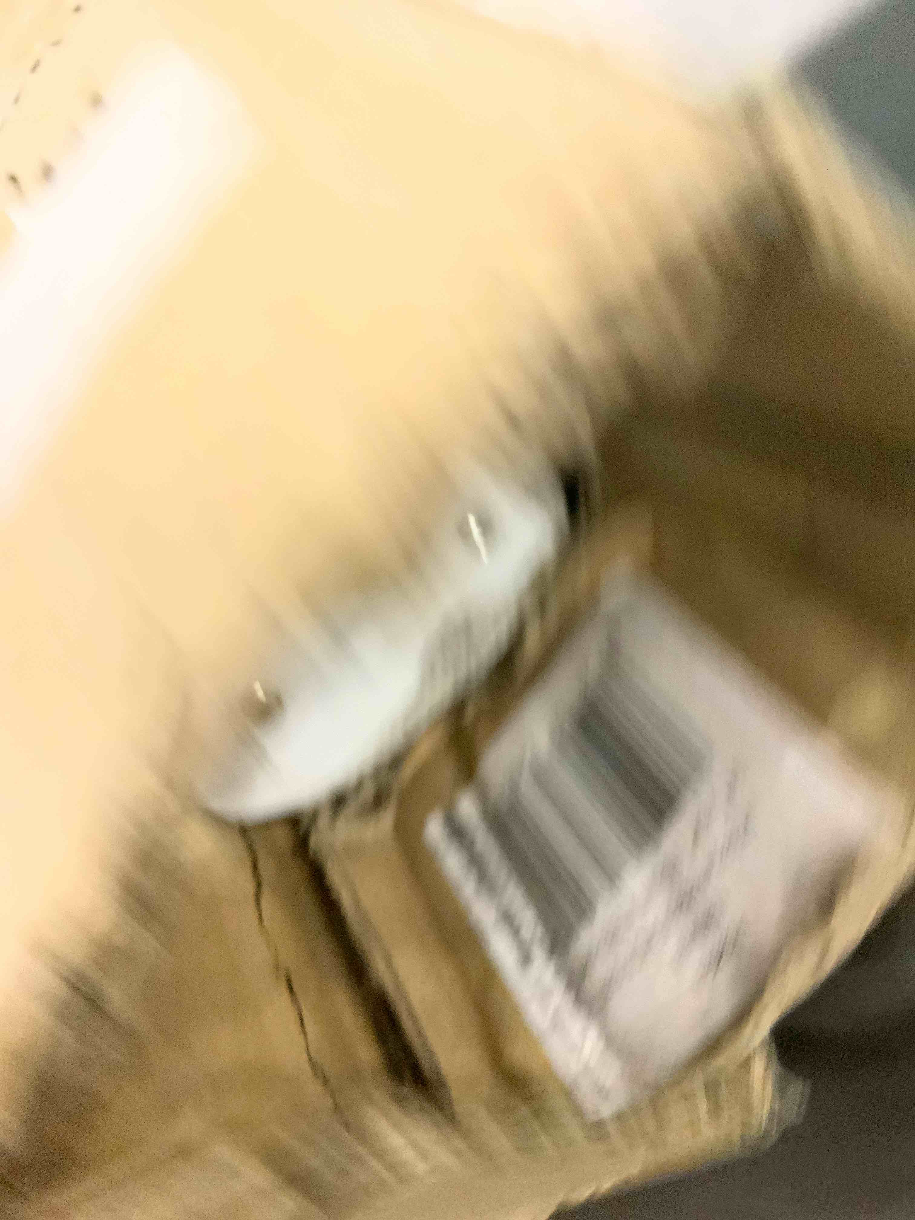 https://s3.amazonaws.com/lotting-images-prod/bidfta/EXS00913125_1701866594613.jpeg