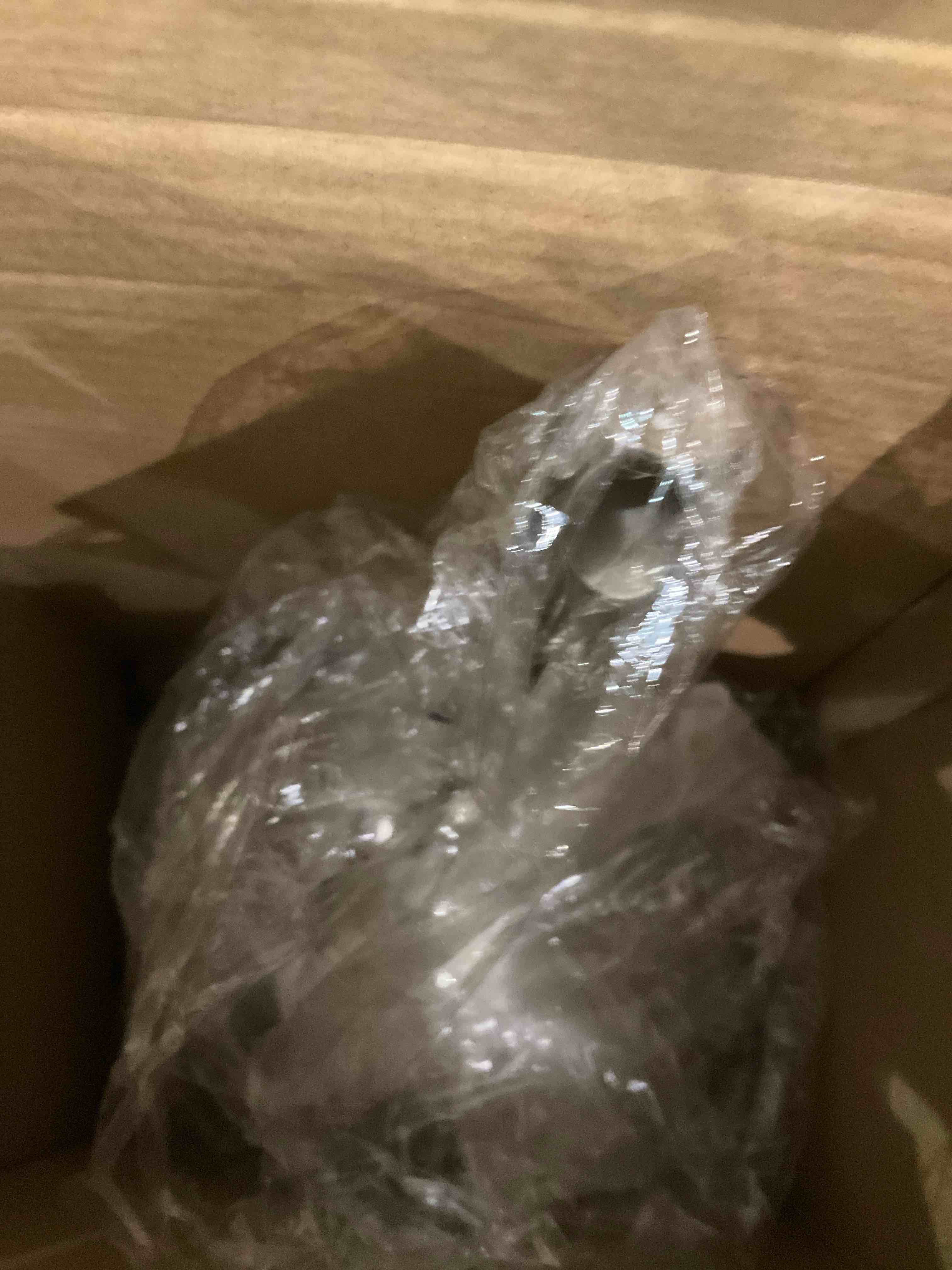 https://s3.amazonaws.com/lotting-images-prod/bidfta/EXS00919567_1702296950423.jpeg
