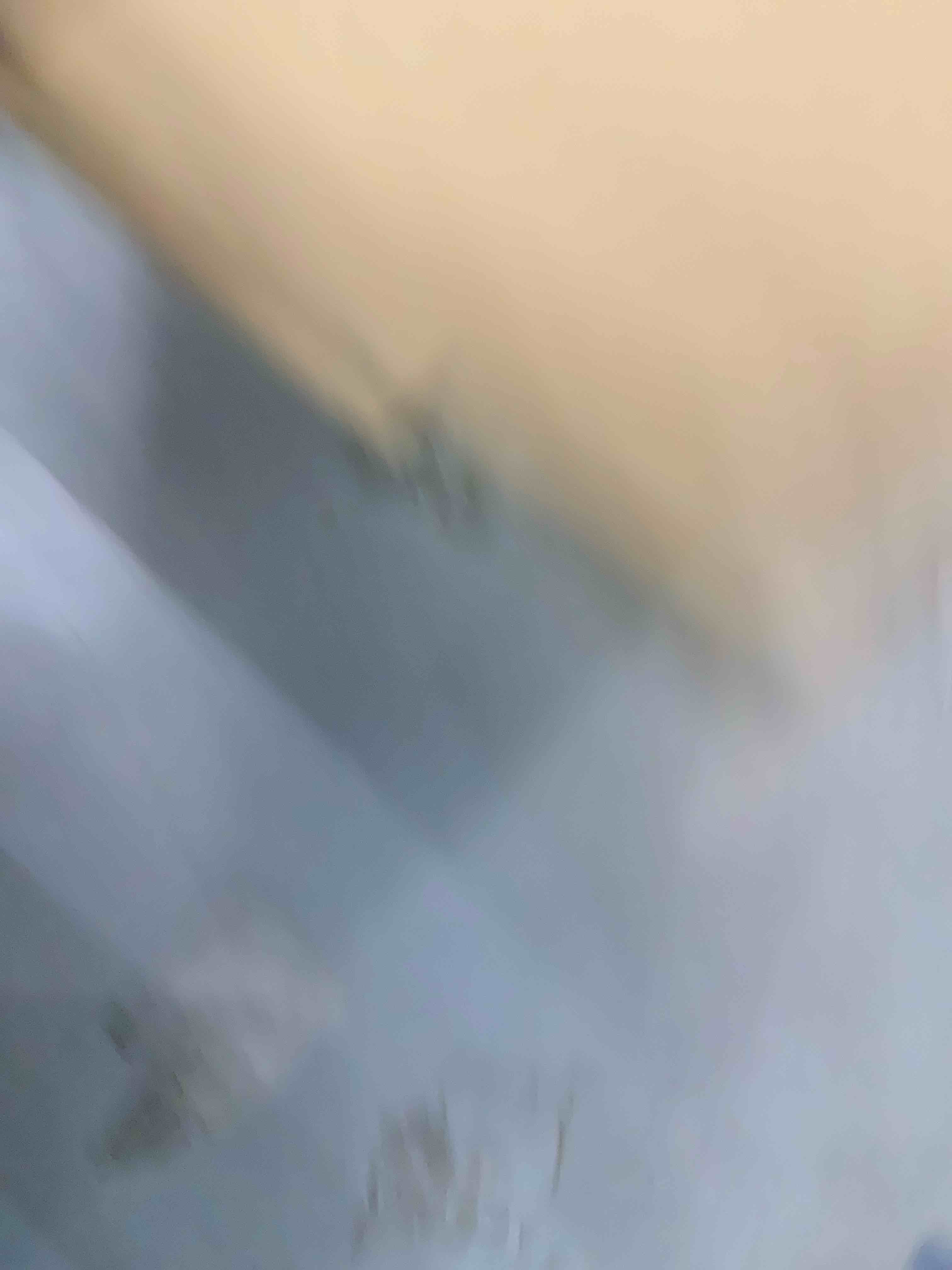 https://s3.amazonaws.com/lotting-images-prod/bidfta/EXS00940664_1702998229271.jpeg