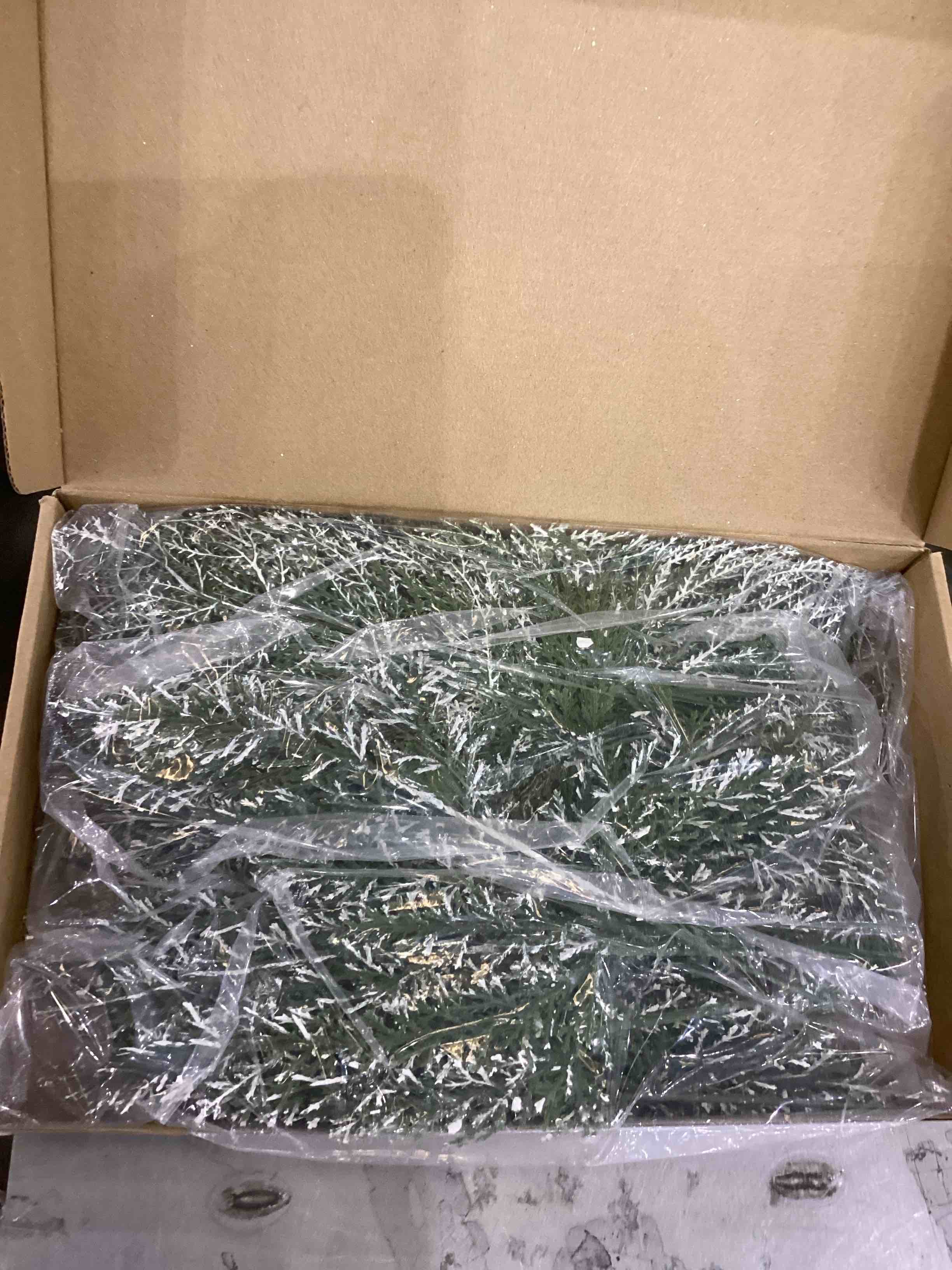 https://s3.amazonaws.com/lotting-images-prod/bidfta/EXS00942440_1703700022471.jpeg
