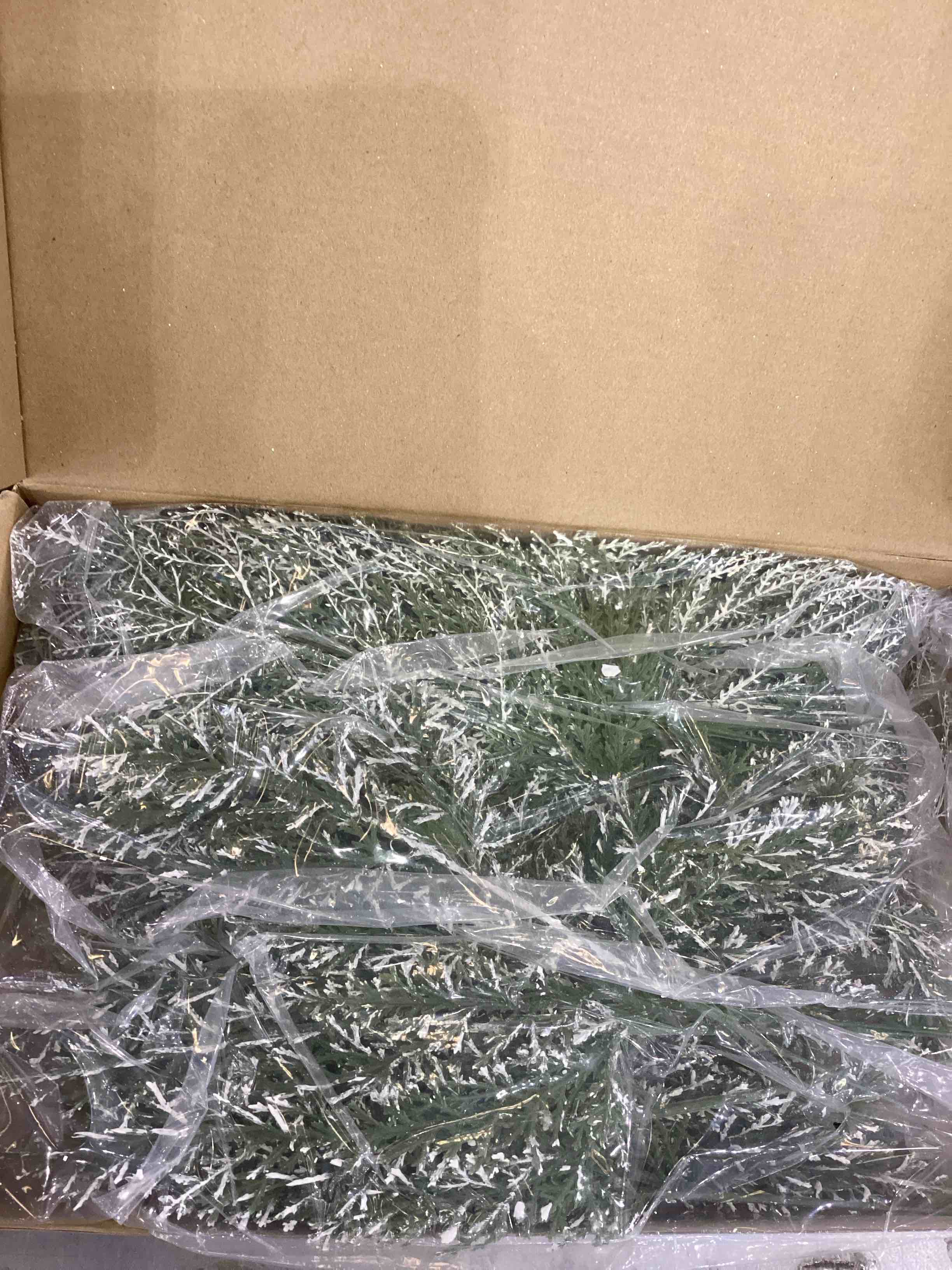 https://s3.amazonaws.com/lotting-images-prod/bidfta/EXS00942440_1703700025219.jpeg