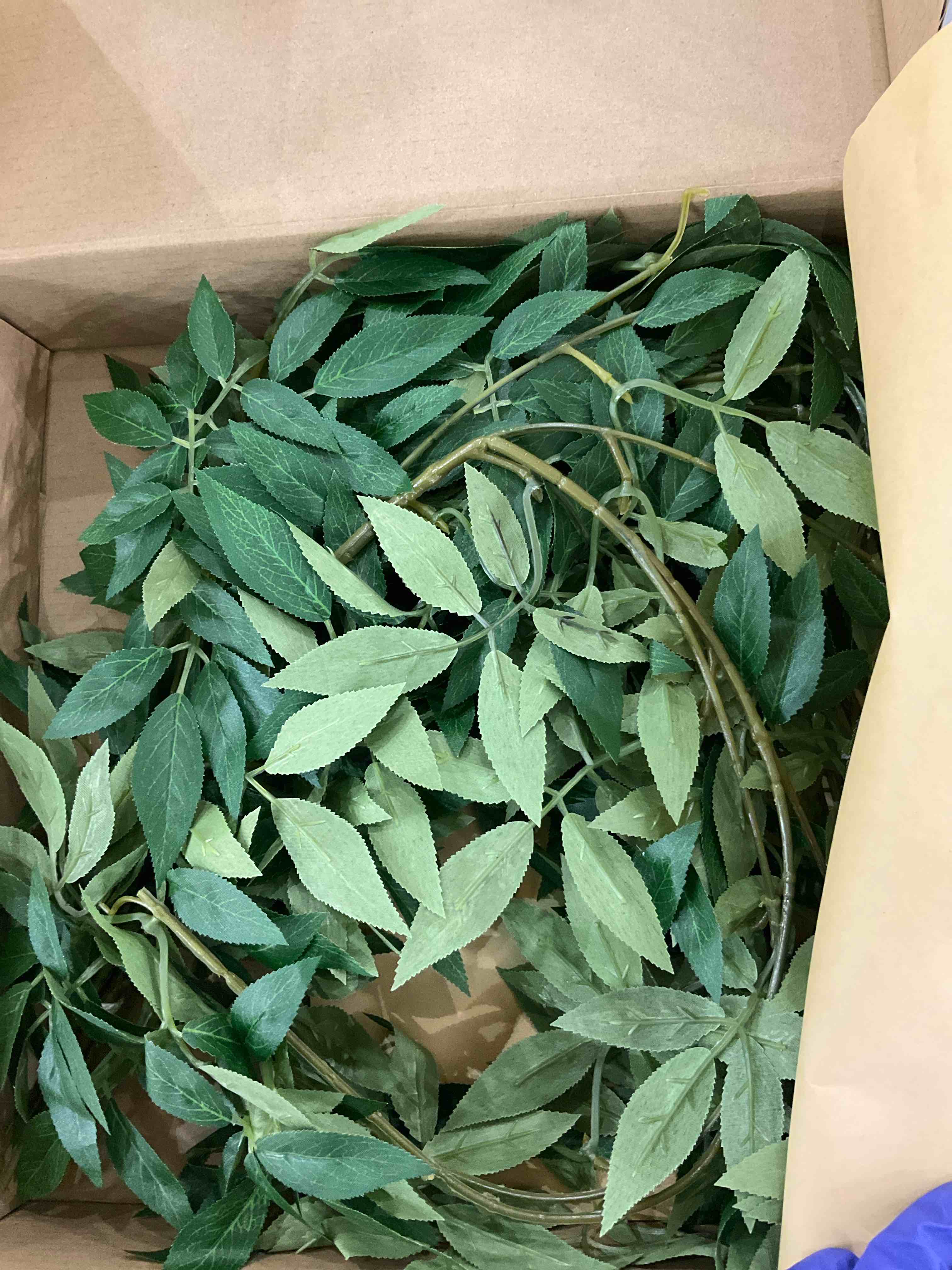https://s3.amazonaws.com/lotting-images-prod/bidfta/EXS00945035_1704467114771.jpeg