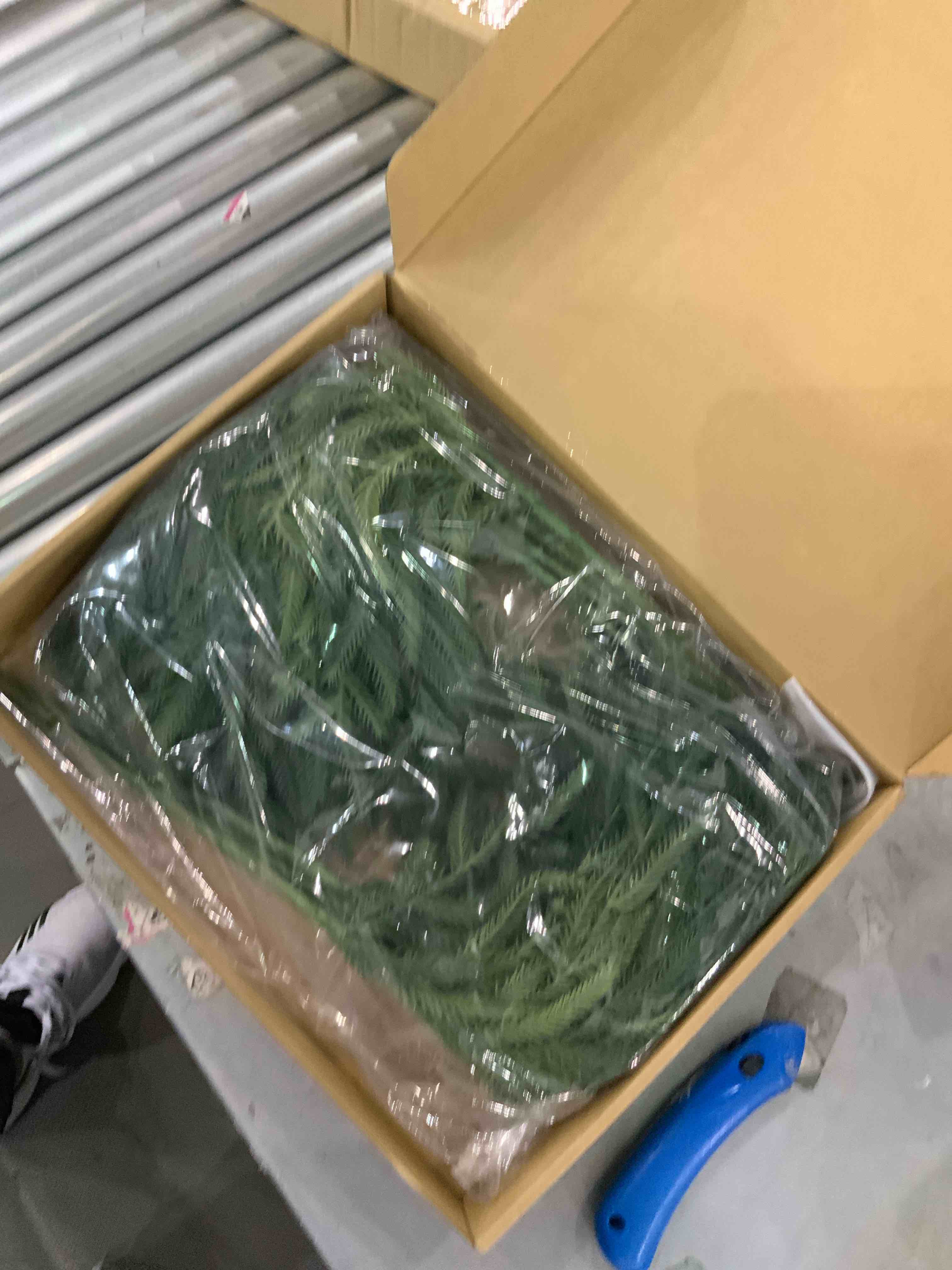 https://s3.amazonaws.com/lotting-images-prod/bidfta/EXS00954870_1704286350848.jpeg