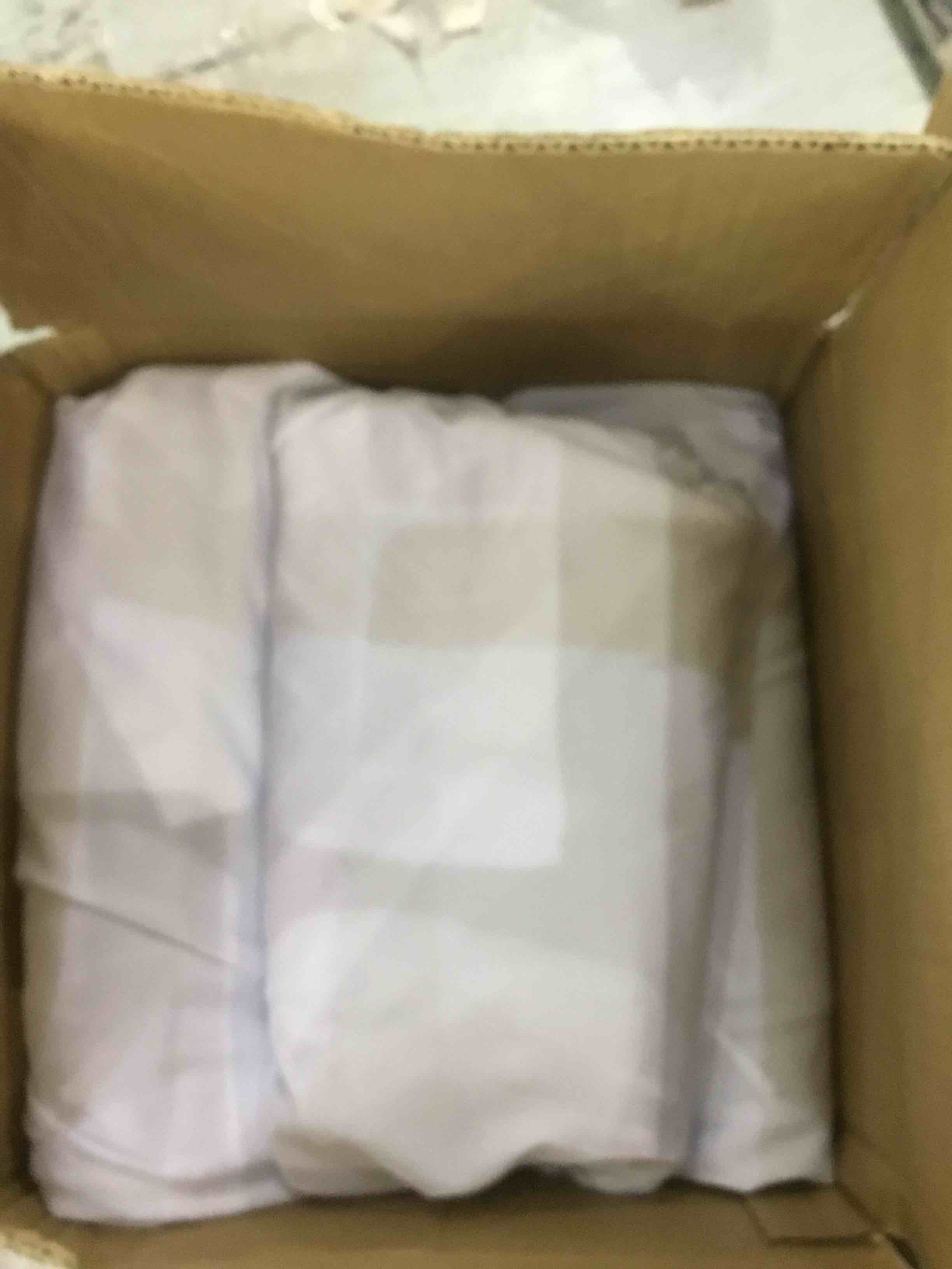 https://s3.amazonaws.com/lotting-images-prod/bidfta/EXS00959980_1705589016043.jpeg