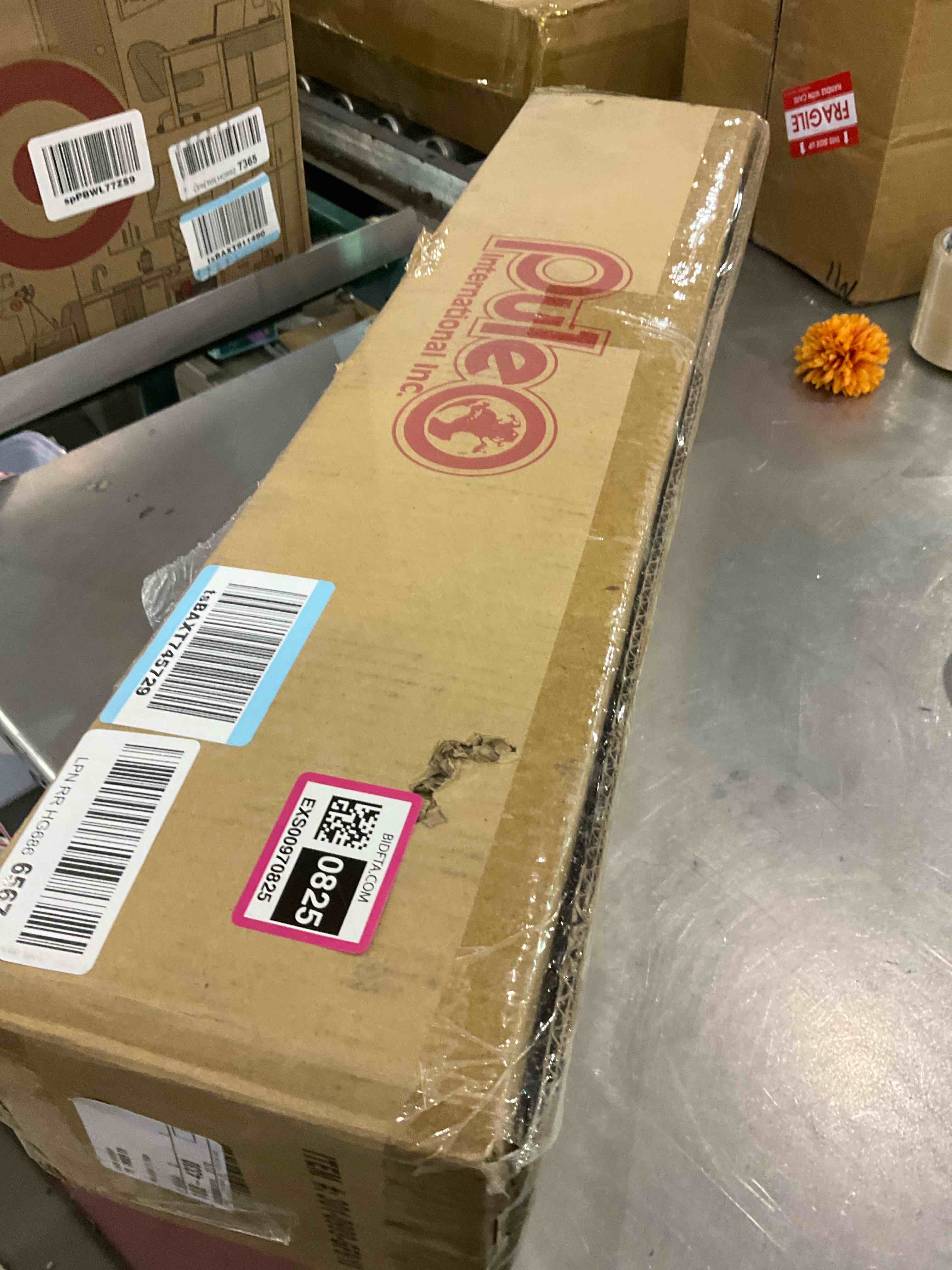 https://s3.amazonaws.com/lotting-images-prod/bidfta/EXS00970825_1704974173416.jpeg