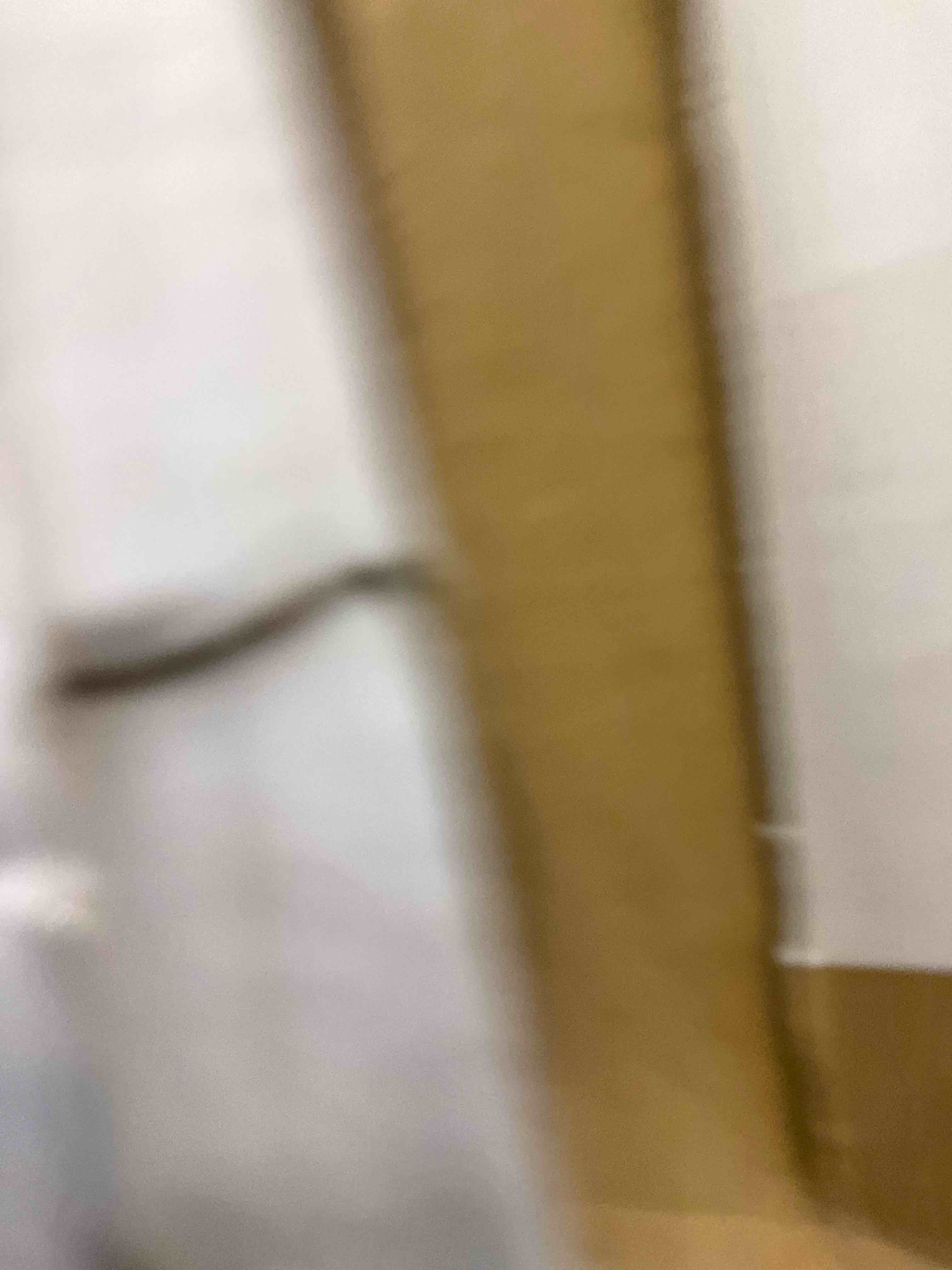 https://s3.amazonaws.com/lotting-images-prod/bidfta/EXS00991036_1704486188641.jpeg