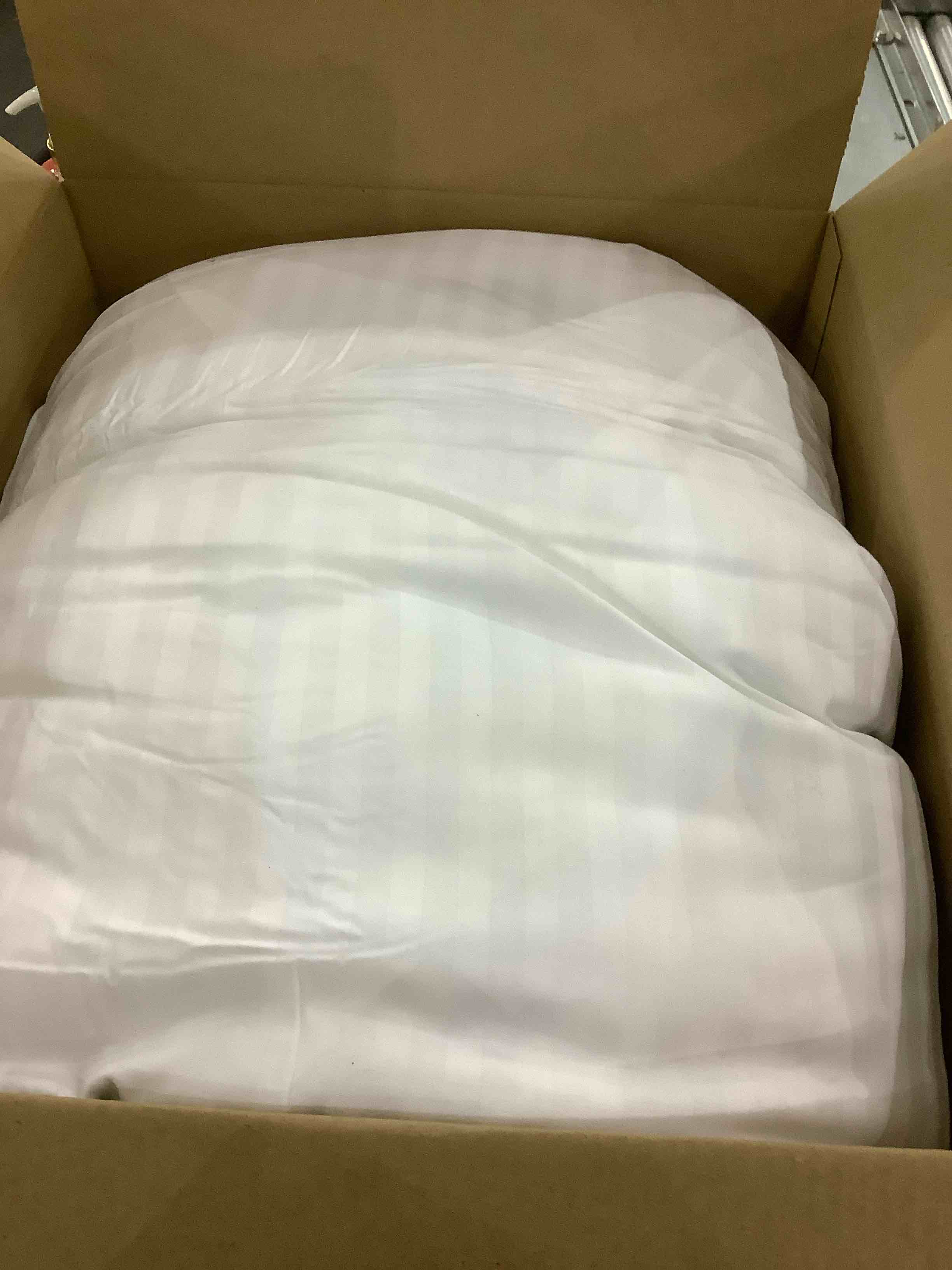 https://s3.amazonaws.com/lotting-images-prod/bidfta/EXS00991144_1704812321441.jpeg