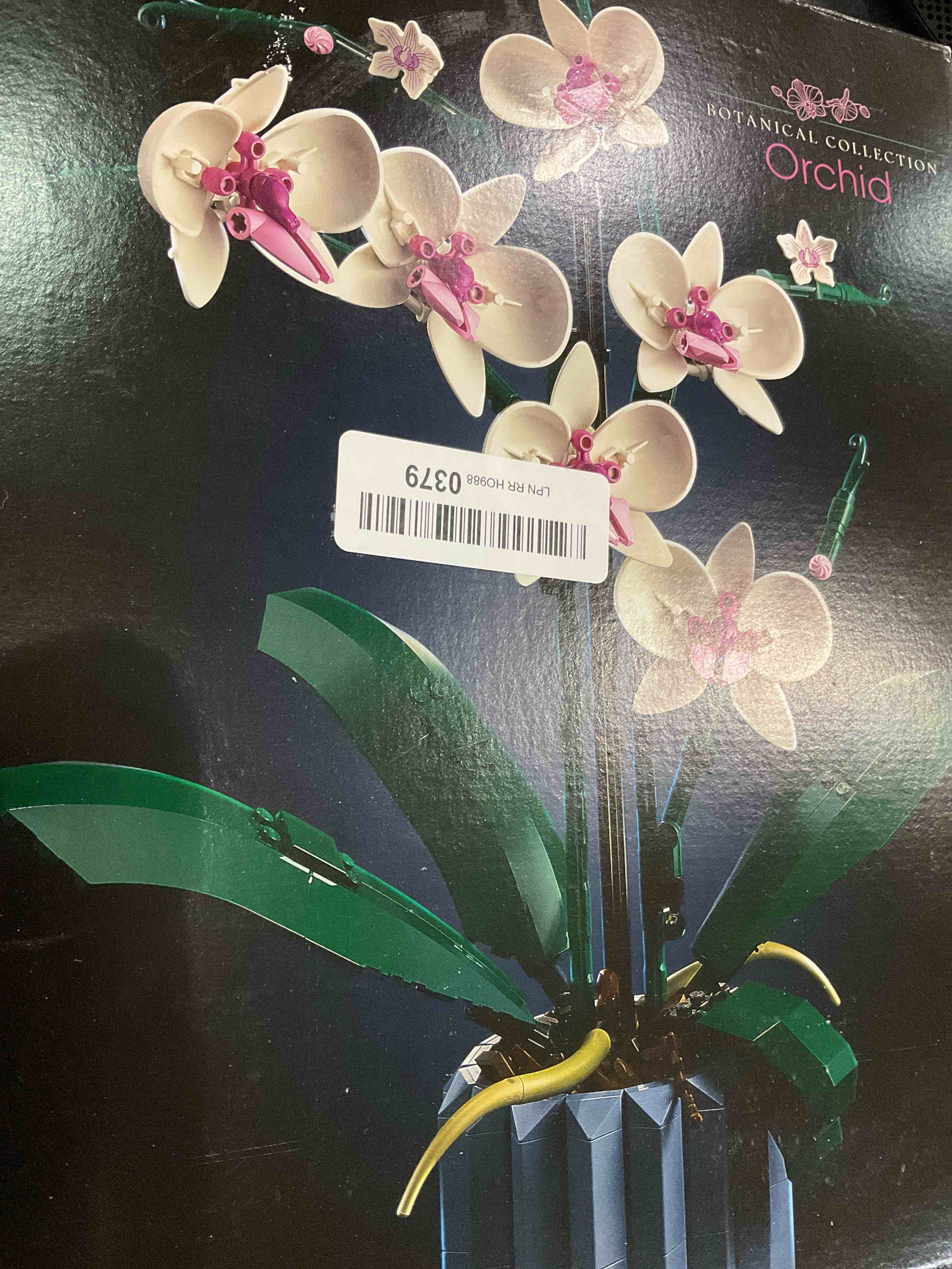 https://s3.amazonaws.com/lotting-images-prod/bidfta/EXS00999865_1705066972879.jpeg