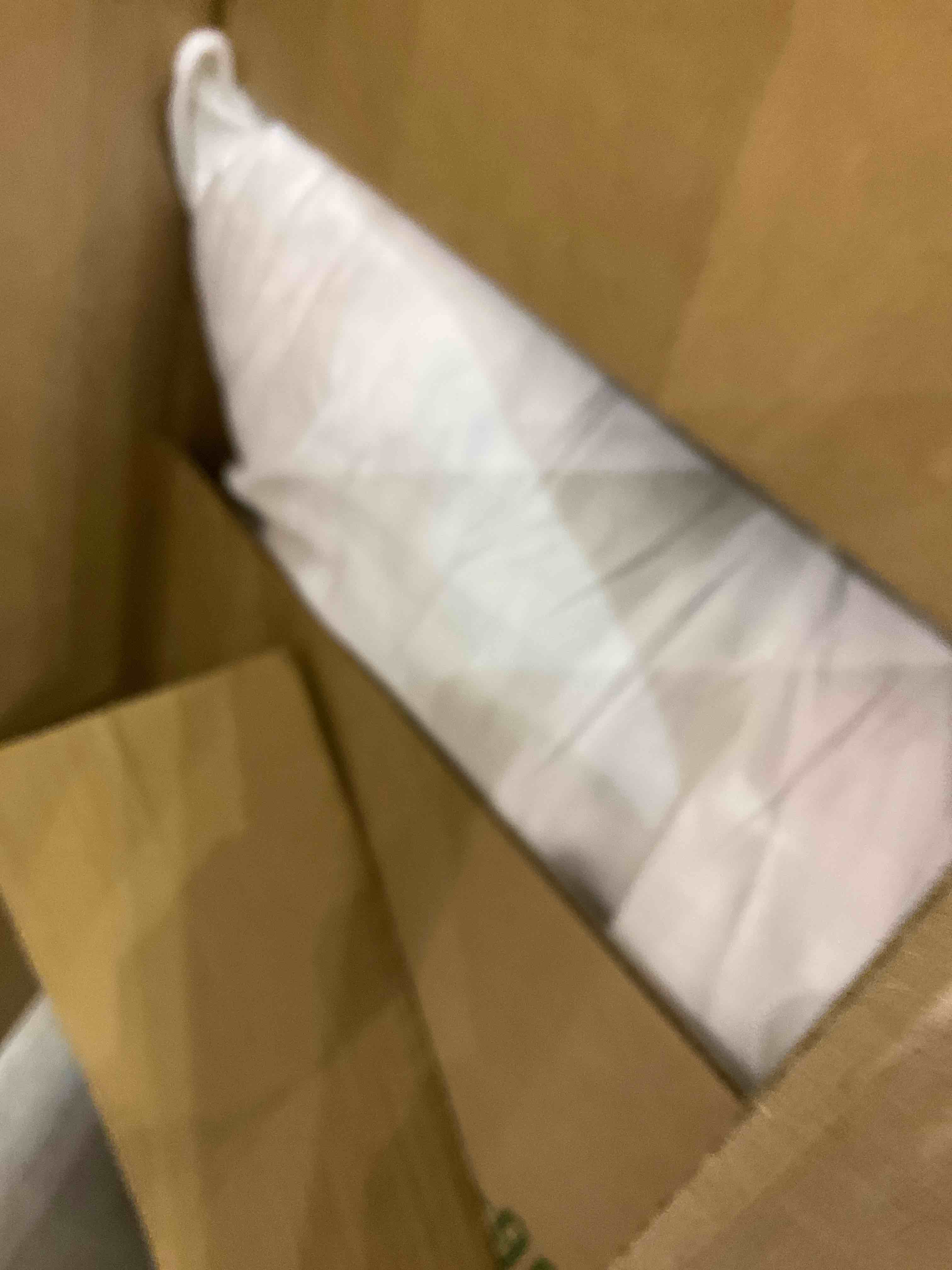 https://s3.amazonaws.com/lotting-images-prod/bidfta/EXS01048730_1707761778783.jpeg