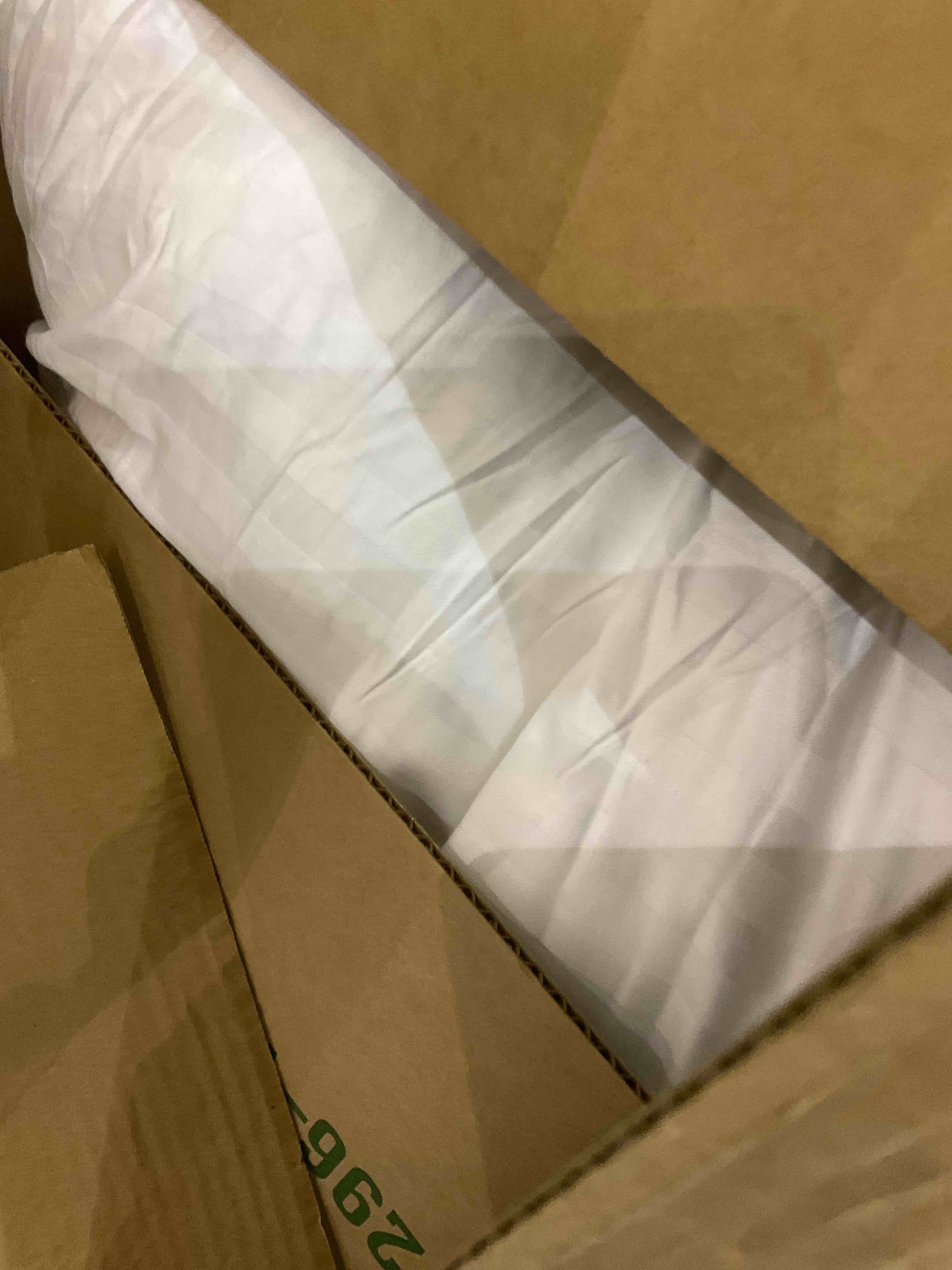 https://s3.amazonaws.com/lotting-images-prod/bidfta/EXS01048730_1707761780260.jpeg