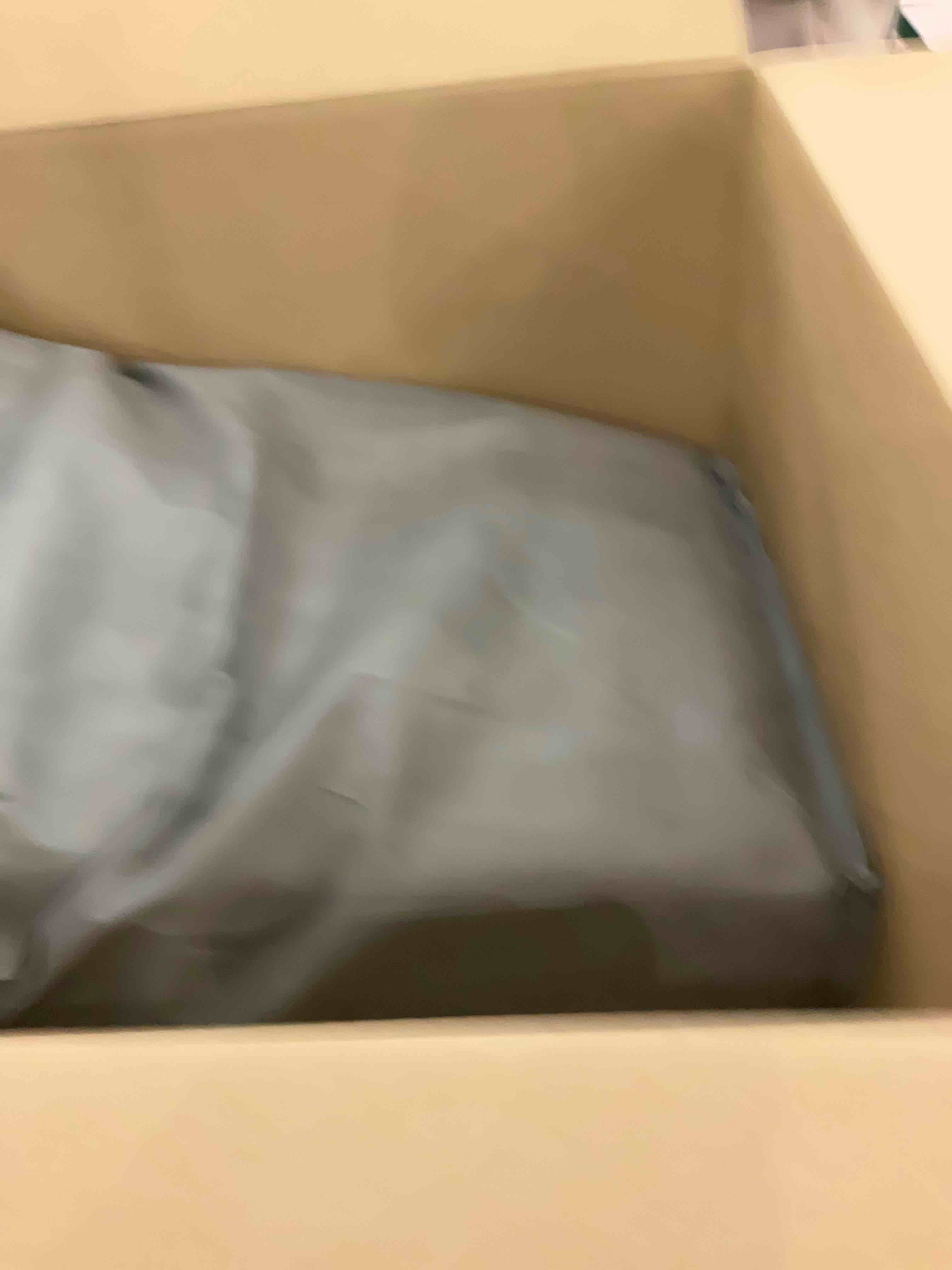 https://s3.amazonaws.com/lotting-images-prod/bidfta/EXS01079761_1706198902460.jpeg