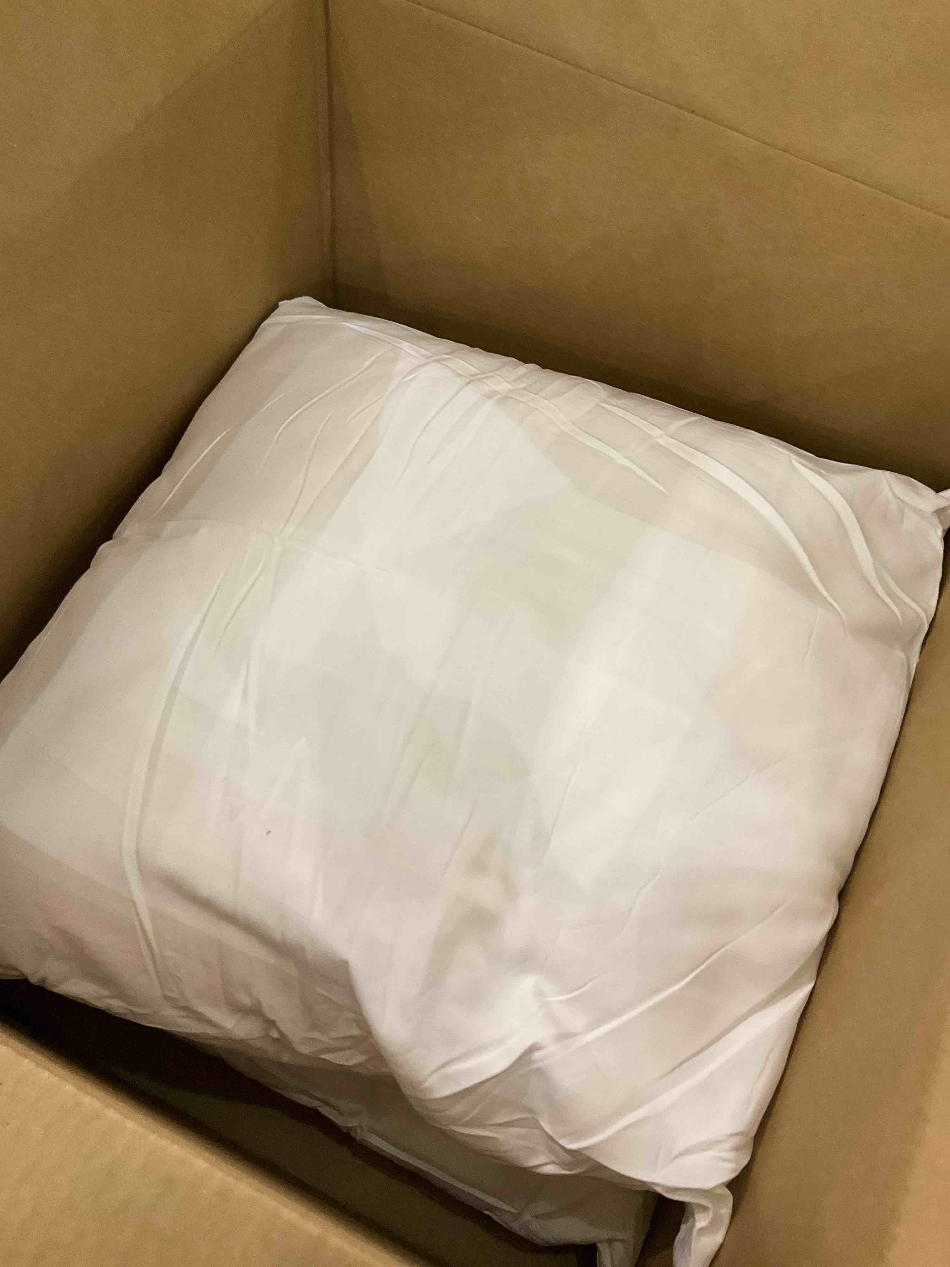 https://s3.amazonaws.com/lotting-images-prod/bidfta/EXS01081249_1708357553642.jpeg