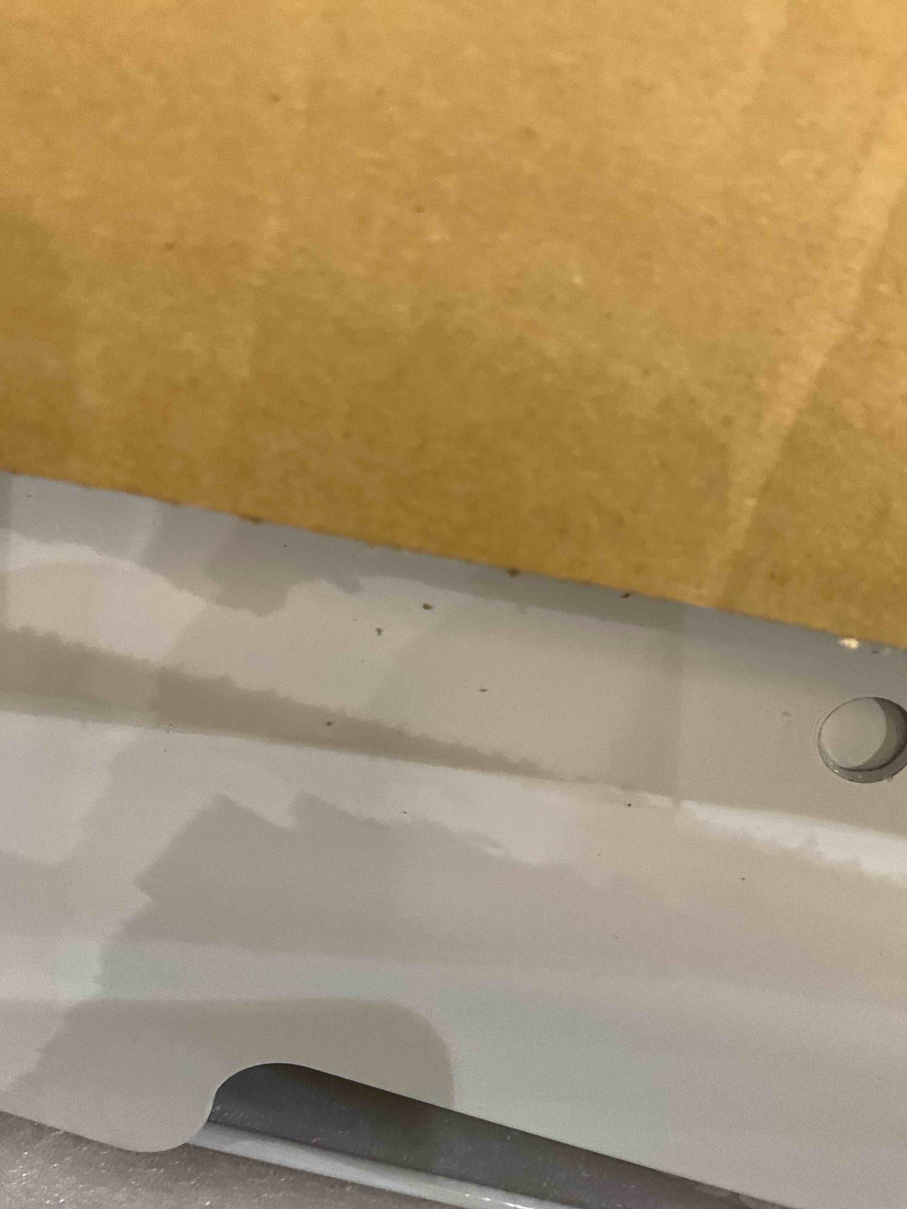 https://s3.amazonaws.com/lotting-images-prod/bidfta/EXS01092821_1708544690484.jpeg