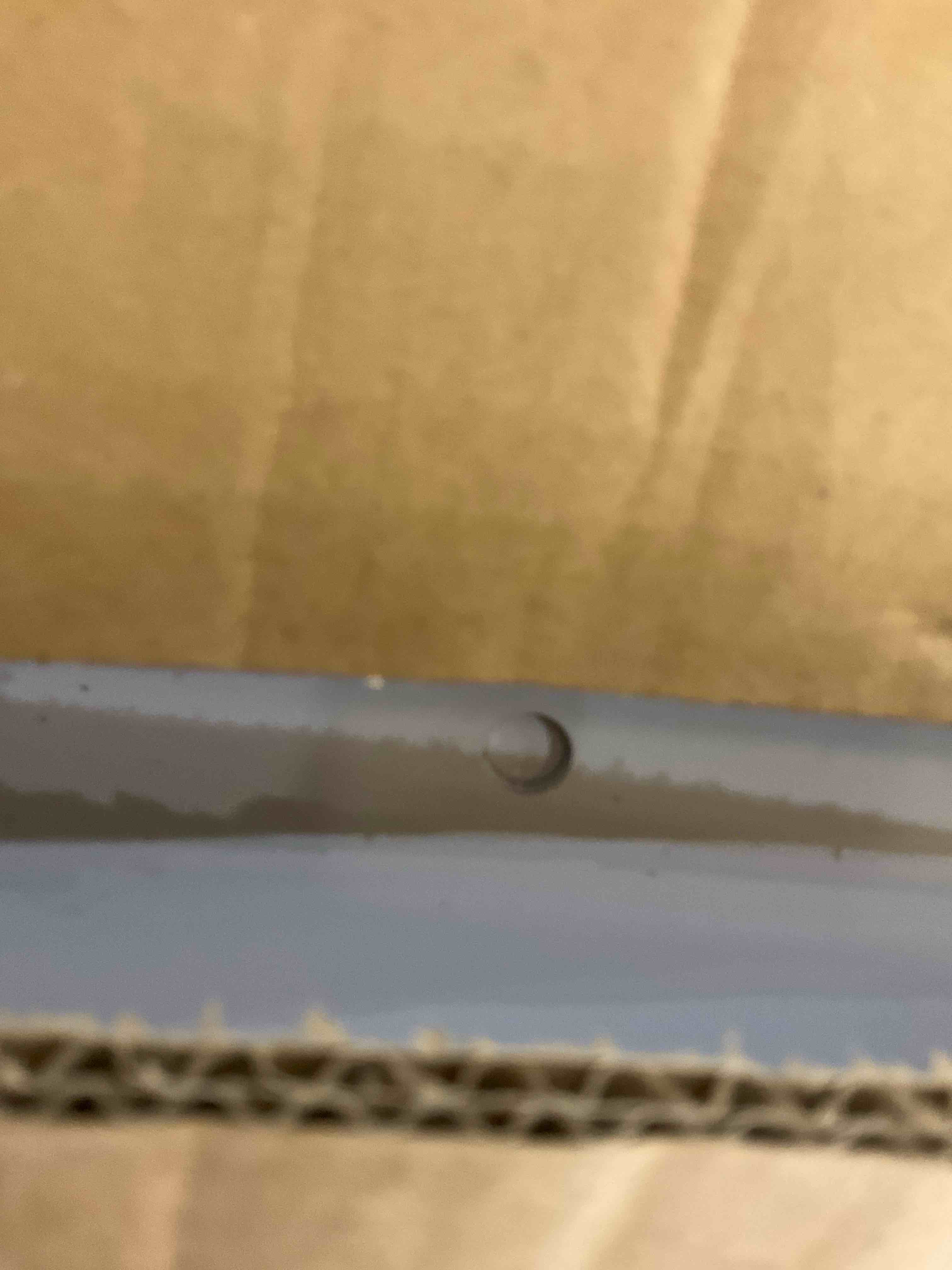 https://s3.amazonaws.com/lotting-images-prod/bidfta/EXS01092821_1708544692667.jpeg