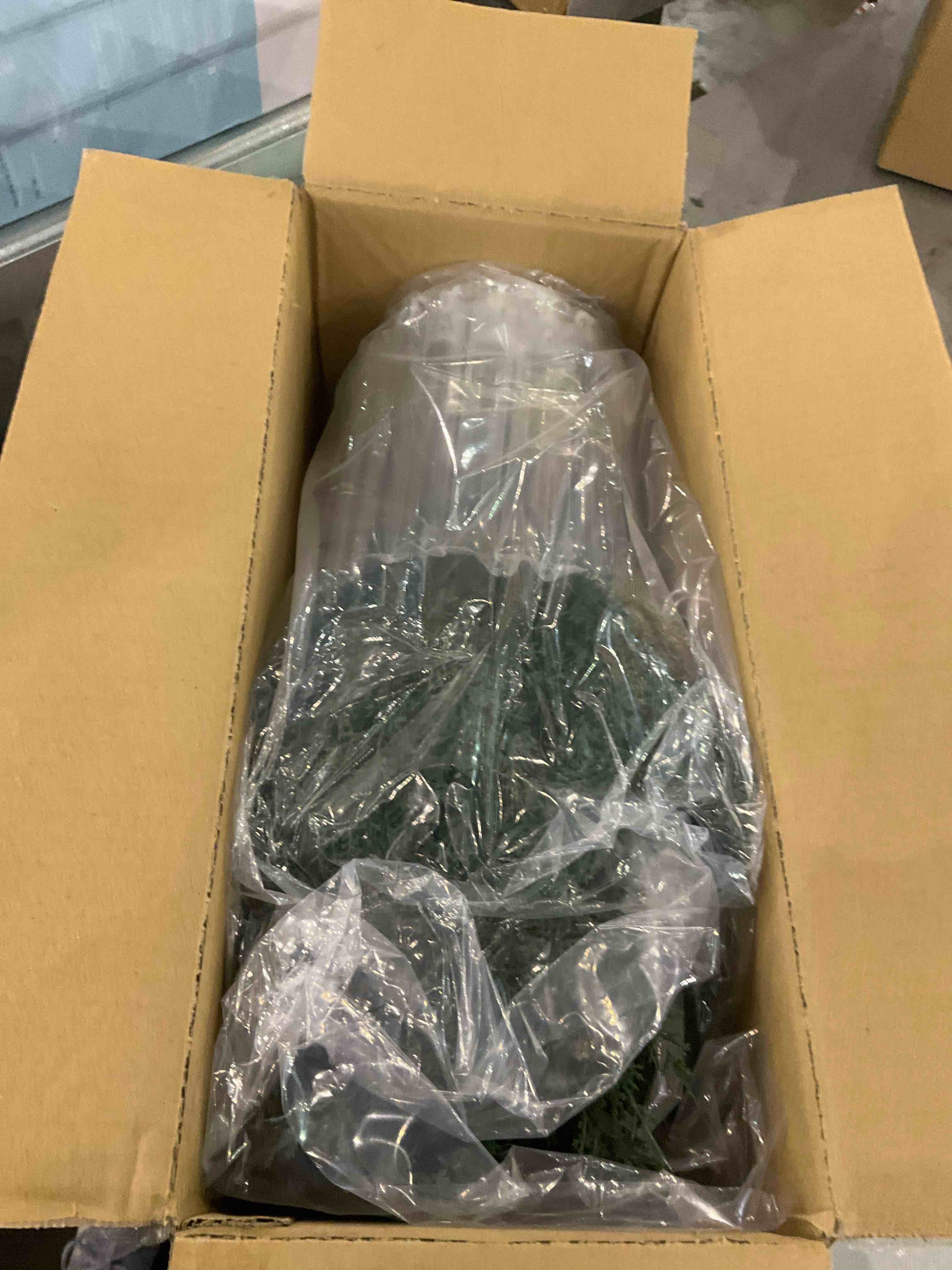 https://s3.amazonaws.com/lotting-images-prod/bidfta/EXS01119971_1705594649525.jpeg