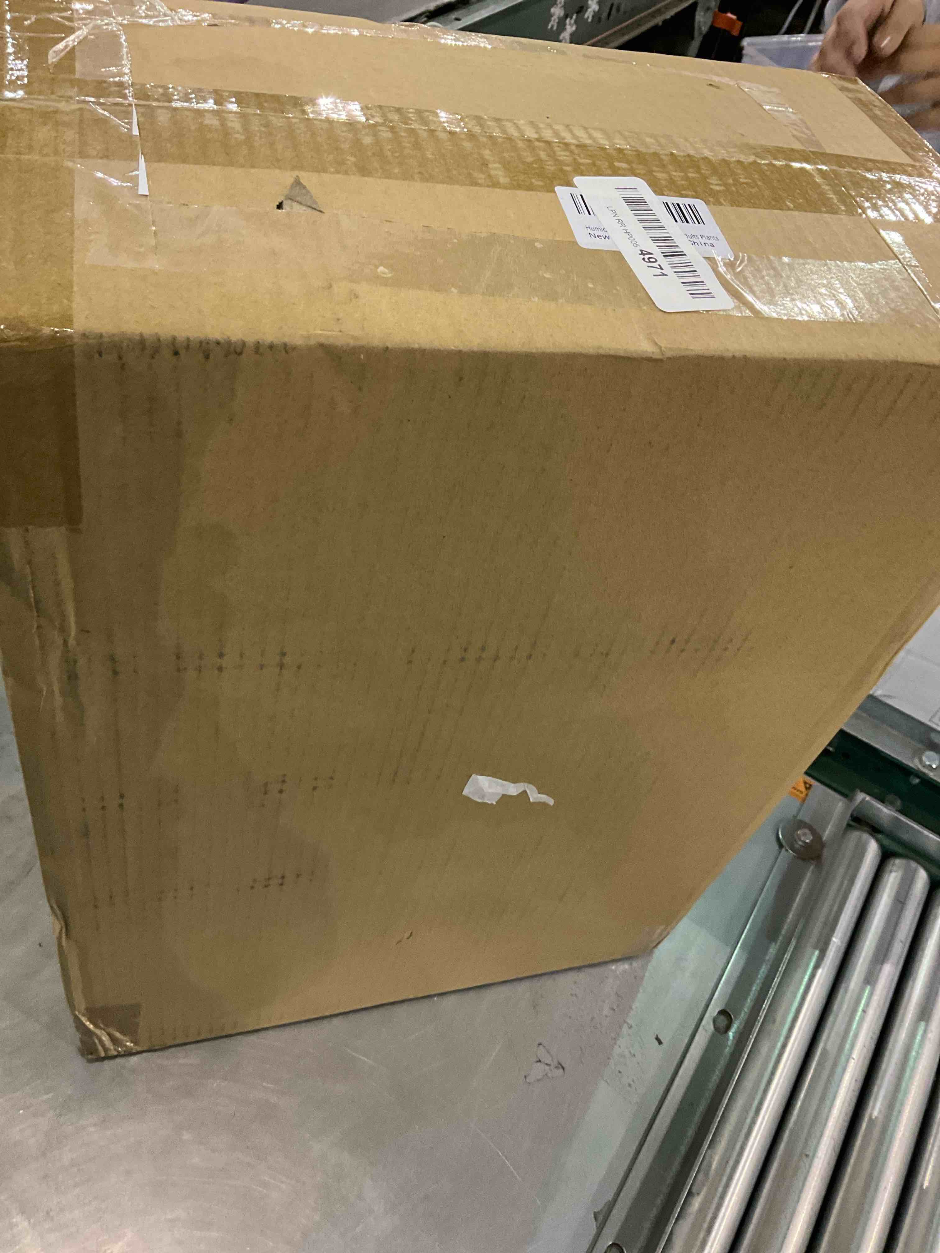 https://s3.amazonaws.com/lotting-images-prod/bidfta/EXS01146974_1707999257716.jpeg