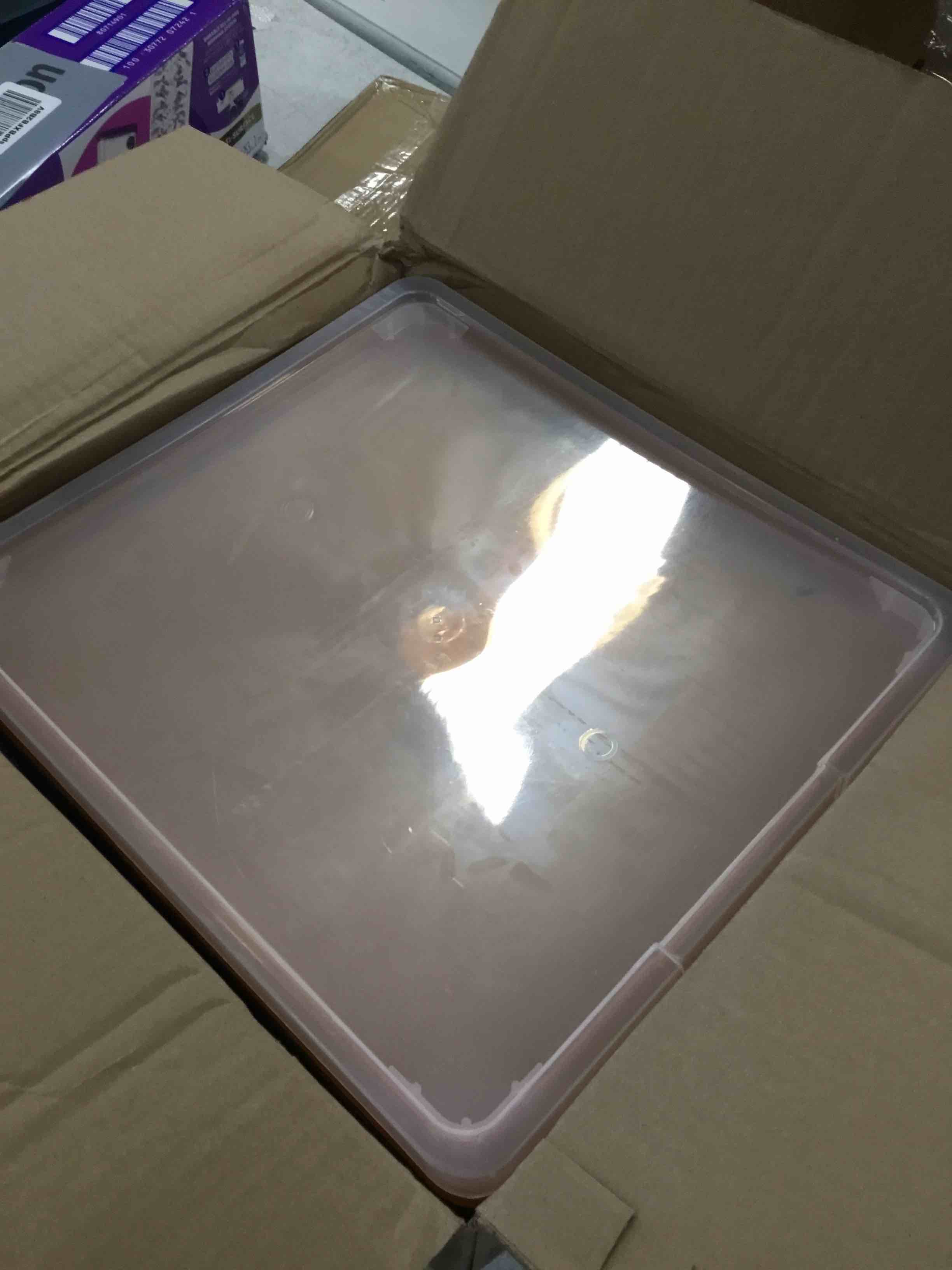 Storex Classroom Craft Project Box Stacking Plastic Organizer Fits