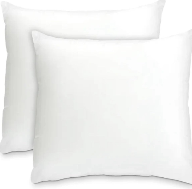 20" x 20" Throw Pillow Inserts - Set of 2