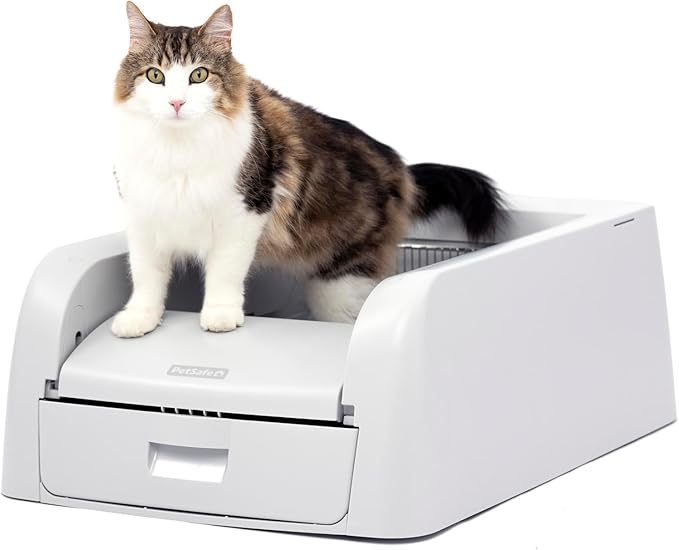 PetSafe ScoopFree Clumping Self-Cleaning Litter Box for Clumping Litter – Superior Odor Control – Never Scoop Litter Again – For Single and Multi-Cat Households