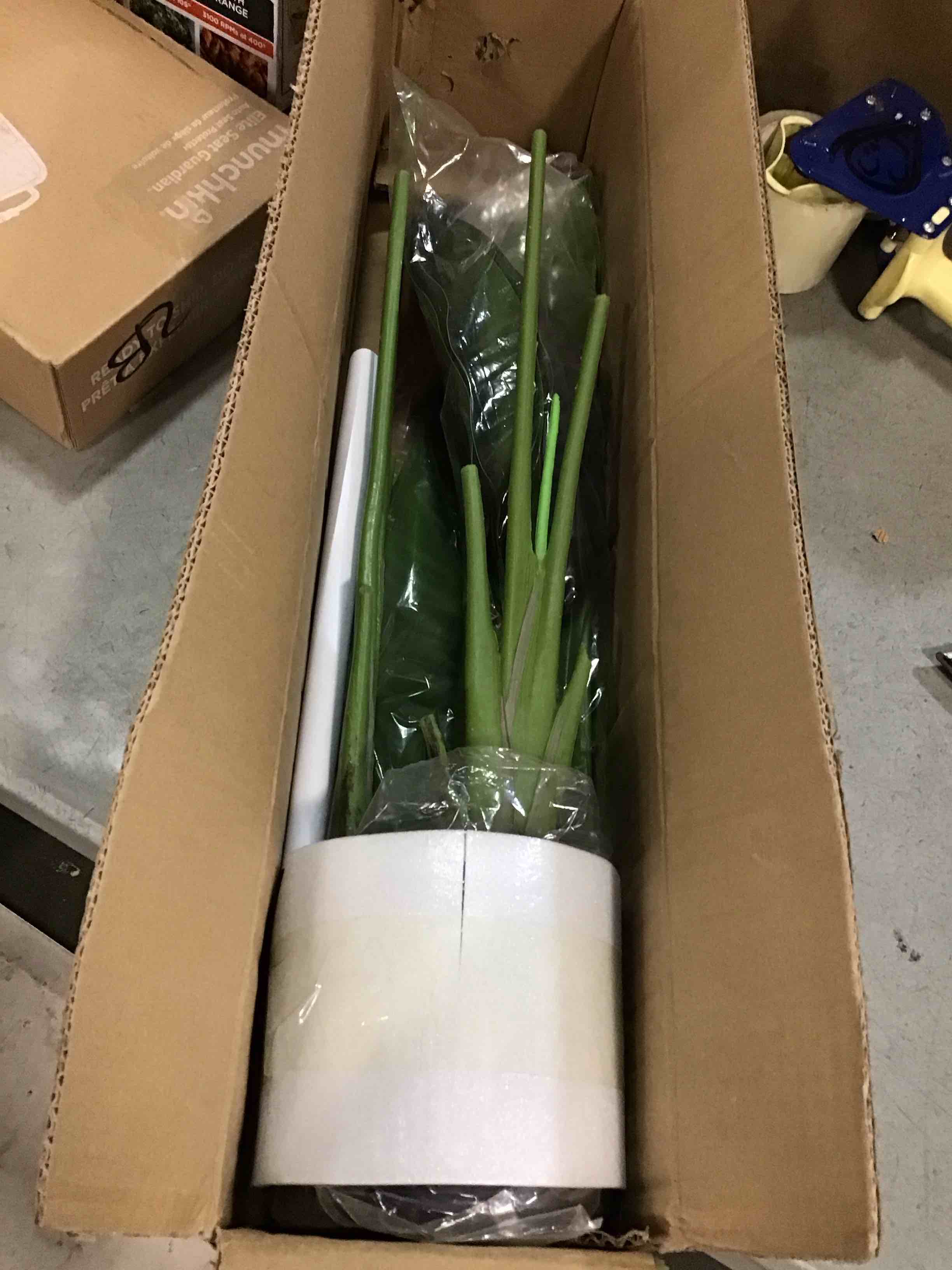 https://s3.amazonaws.com/lotting-images-prod/bidfta/GRA0098010_1727353772987.jpeg