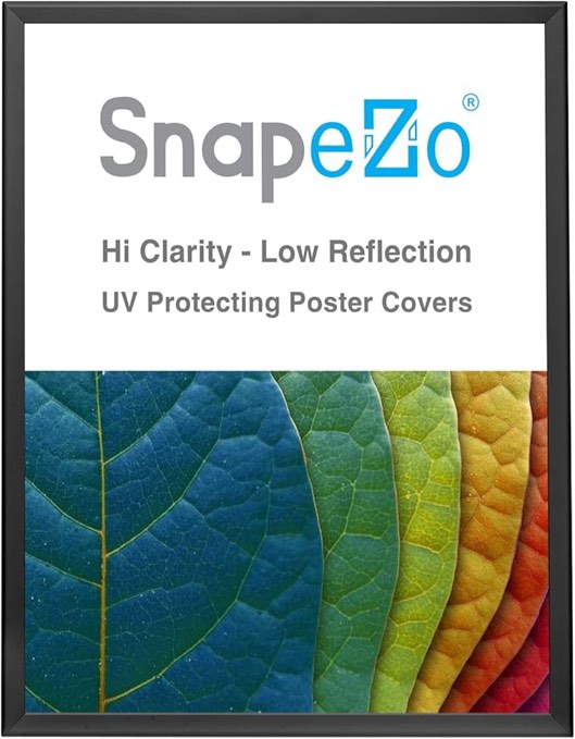 SnapeZo Poster Frame 36x48, Black, 1.25 Inch Aluminum Profile, Front-Loading Snap Frame, Wall Mounting, Professional Series 36x48 Black