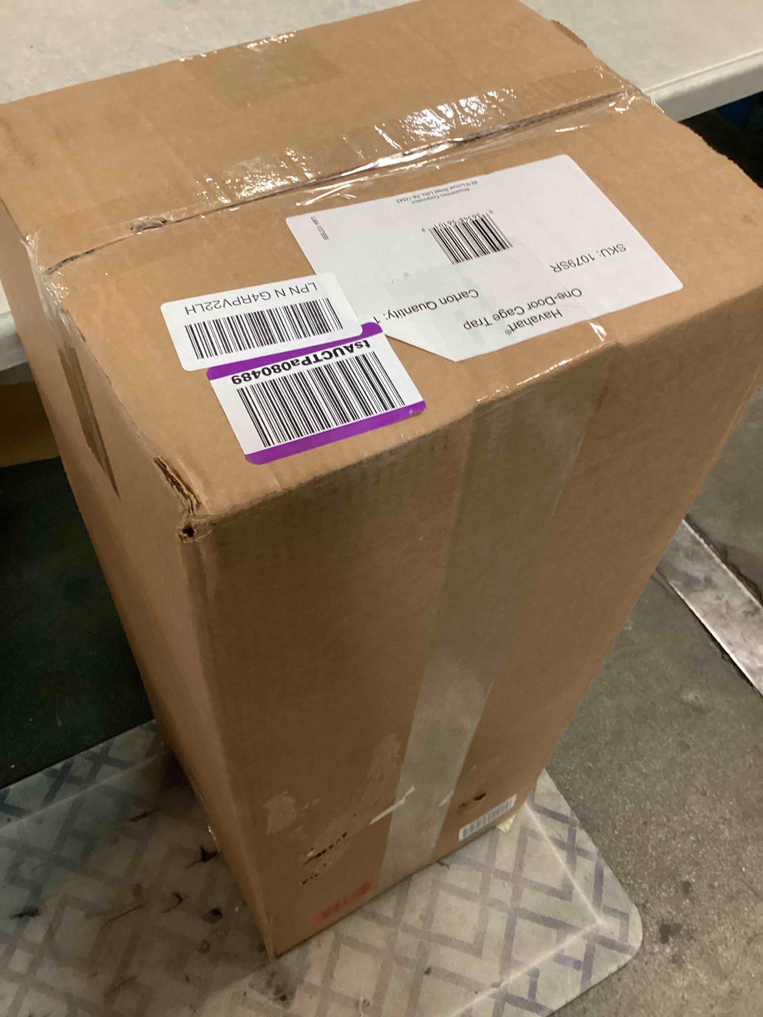 https://s3.amazonaws.com/lotting-images-prod/bidfta/GRA0164366_1730901844962.jpeg