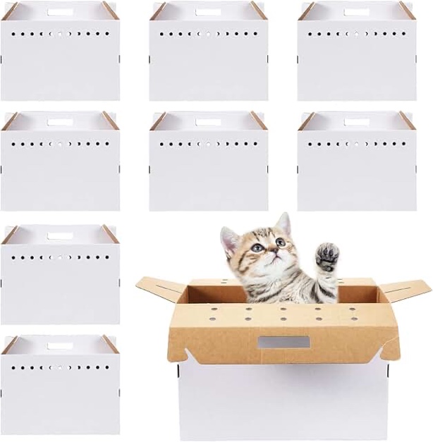 Kisston 12 Pieces Cardboard Pet Carriers 17.5 x 8.5 x 15 Inches for Small Animals Cat Hamster Guinea Pig Rabbit Bird Travel Box