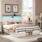 Jonethen Queen Bookcase Storage Bed with Storage Bookcase Footboard and LED Lights