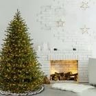 Norwegian Spruce Tree with Clear Lights(size 6.5)