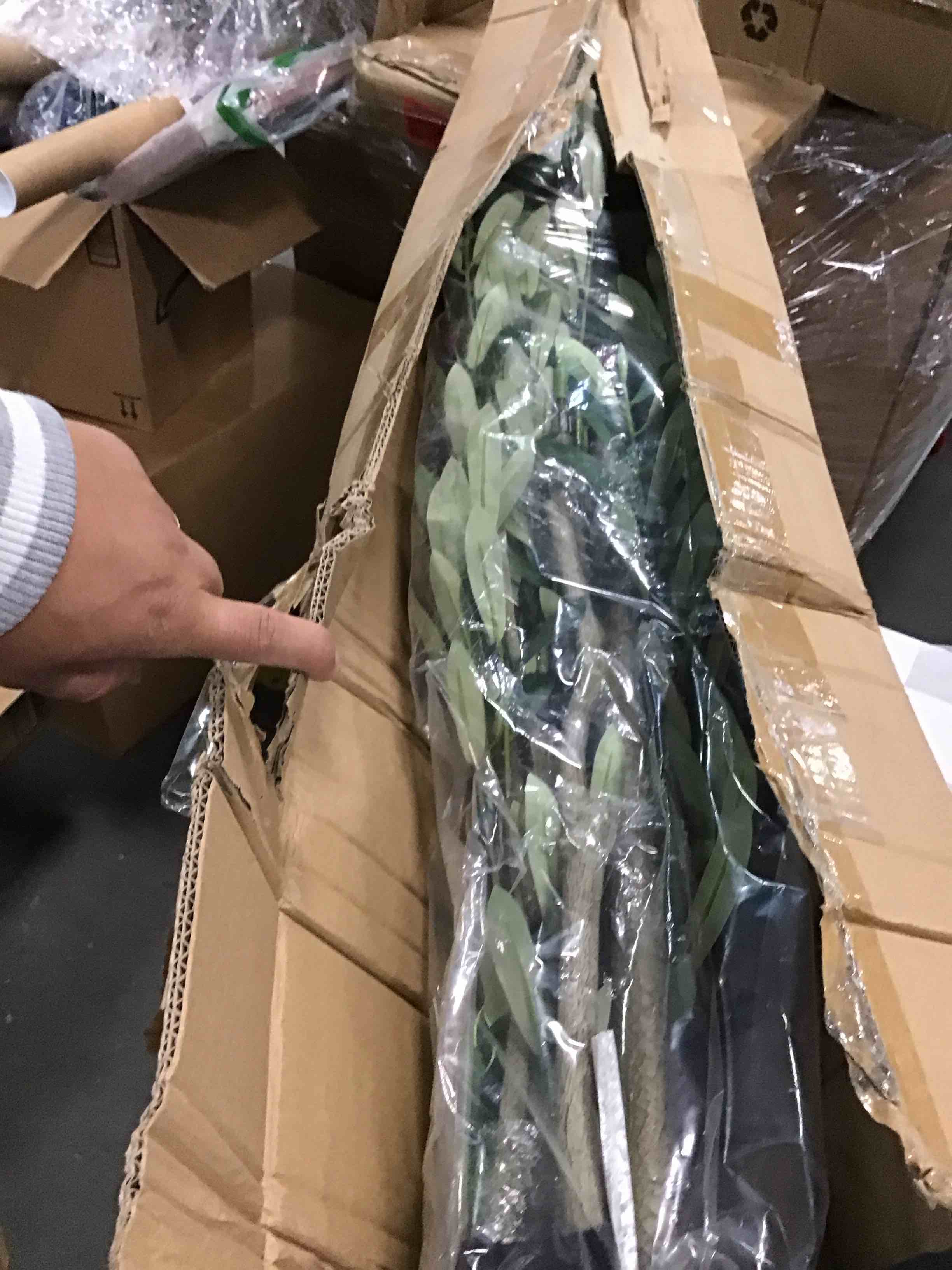 https://s3.amazonaws.com/lotting-images-prod/bidfta/GRA0228369_1728906729832.jpeg
