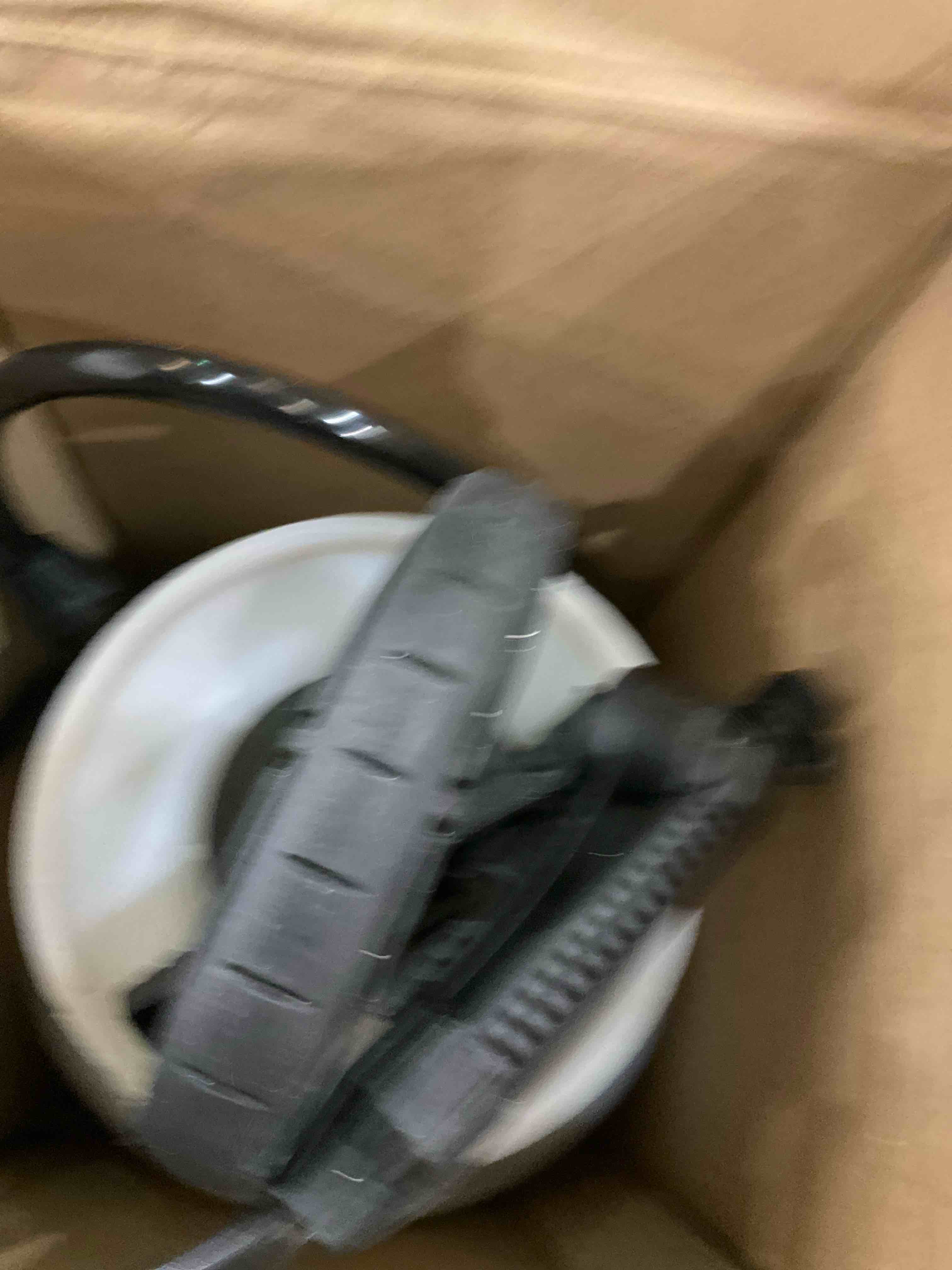 Chapin 20000 Made in USA 1 -Gallon Lawn and Garden Pump Pressured Sprayer, for Spraying Plants, Garden Watering, Weeds and Pests, Polypropylene, Translucent White