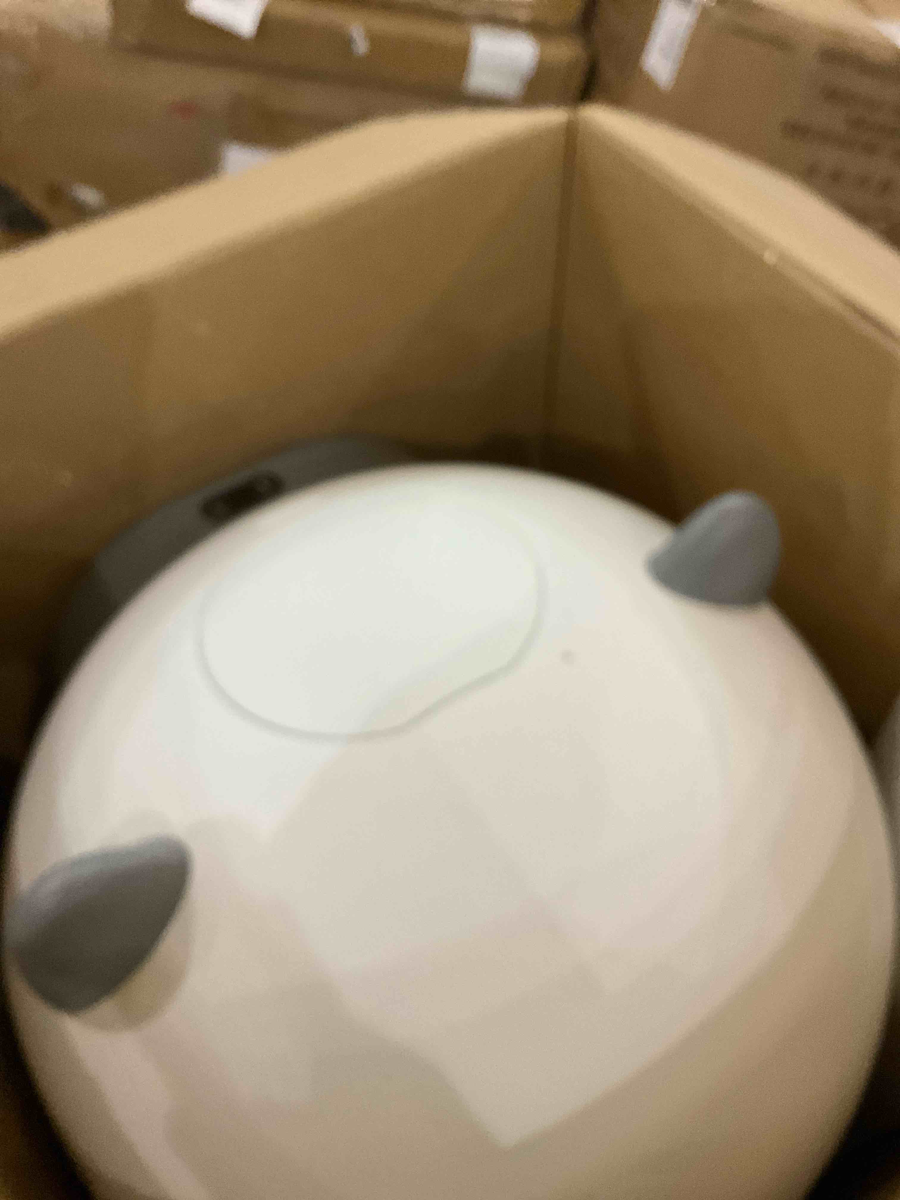 self cleaning cat litter box 