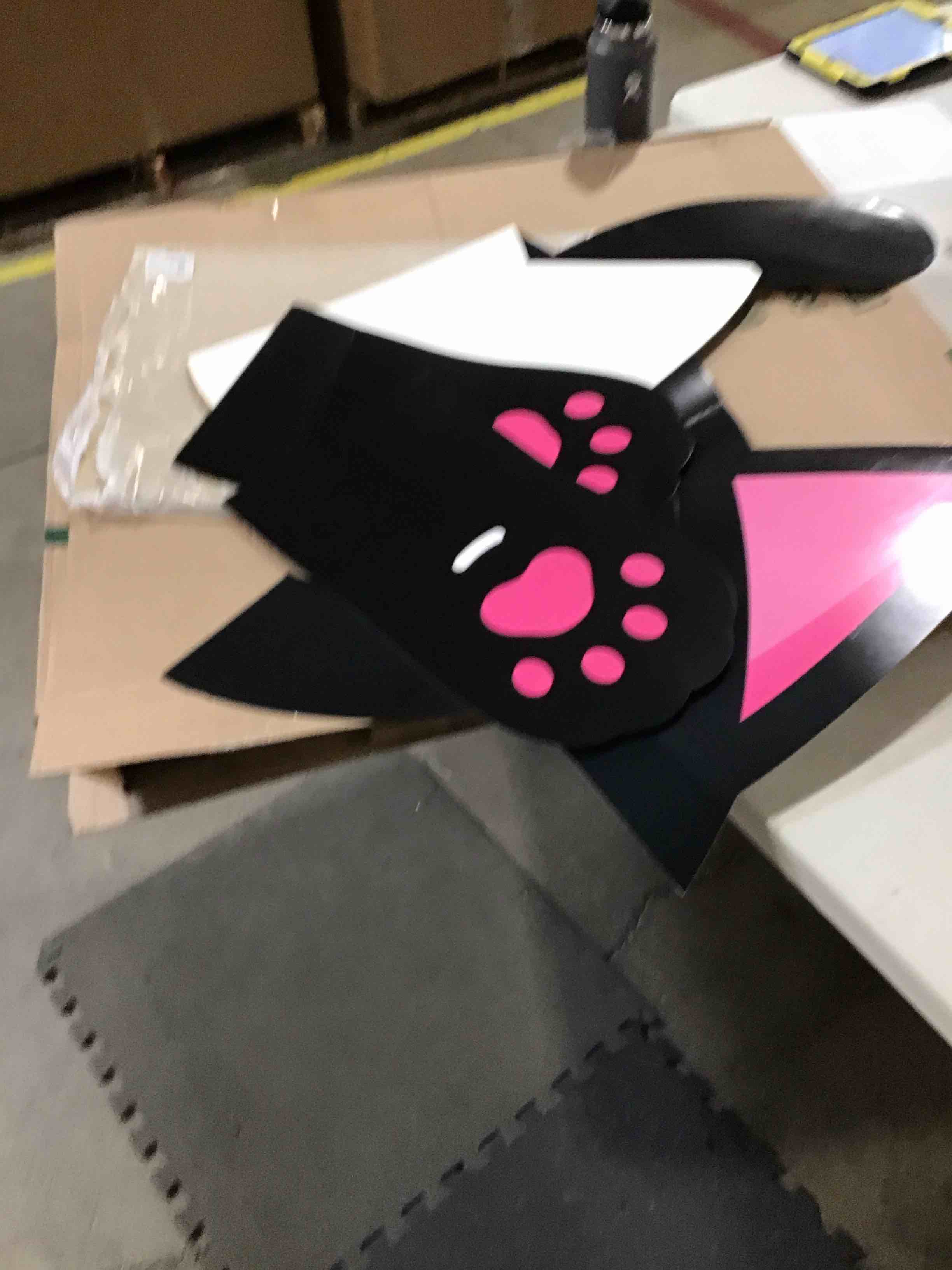 cat party door entrance