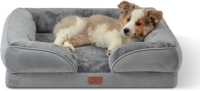 Miguel Dog Bed with Removable Cushion