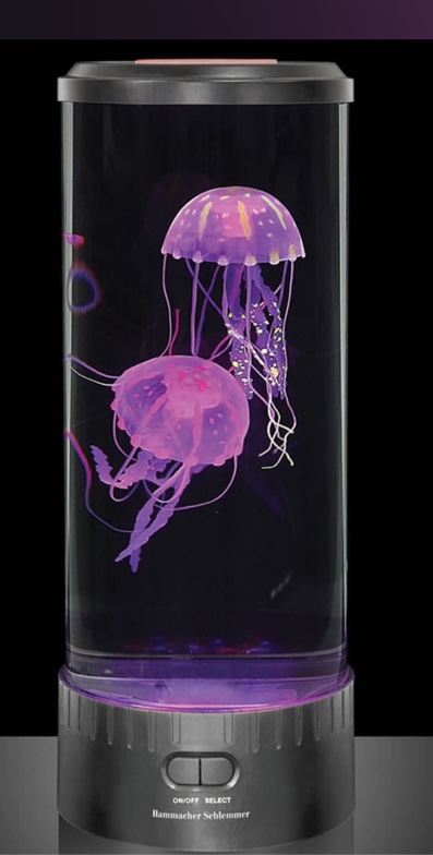 The Best Jellyfish Aquarium