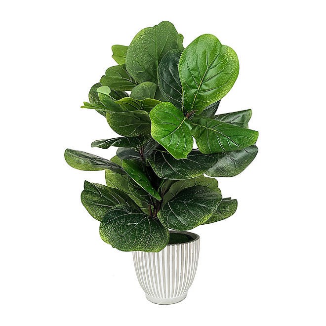 artificial Fiddle-leaf fig 32”