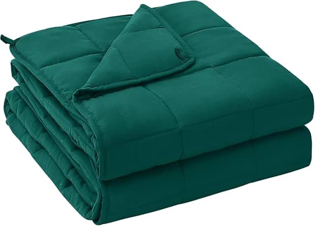 Alomidds Weighted Blanket ( 60"x80",15lbs Queen Size - Green ), Weighted Blankets for Adults and Kids, Cooling Breathable Soft and Comfort Minky, Heavy Blanket Microfiber Material with Glass Beads