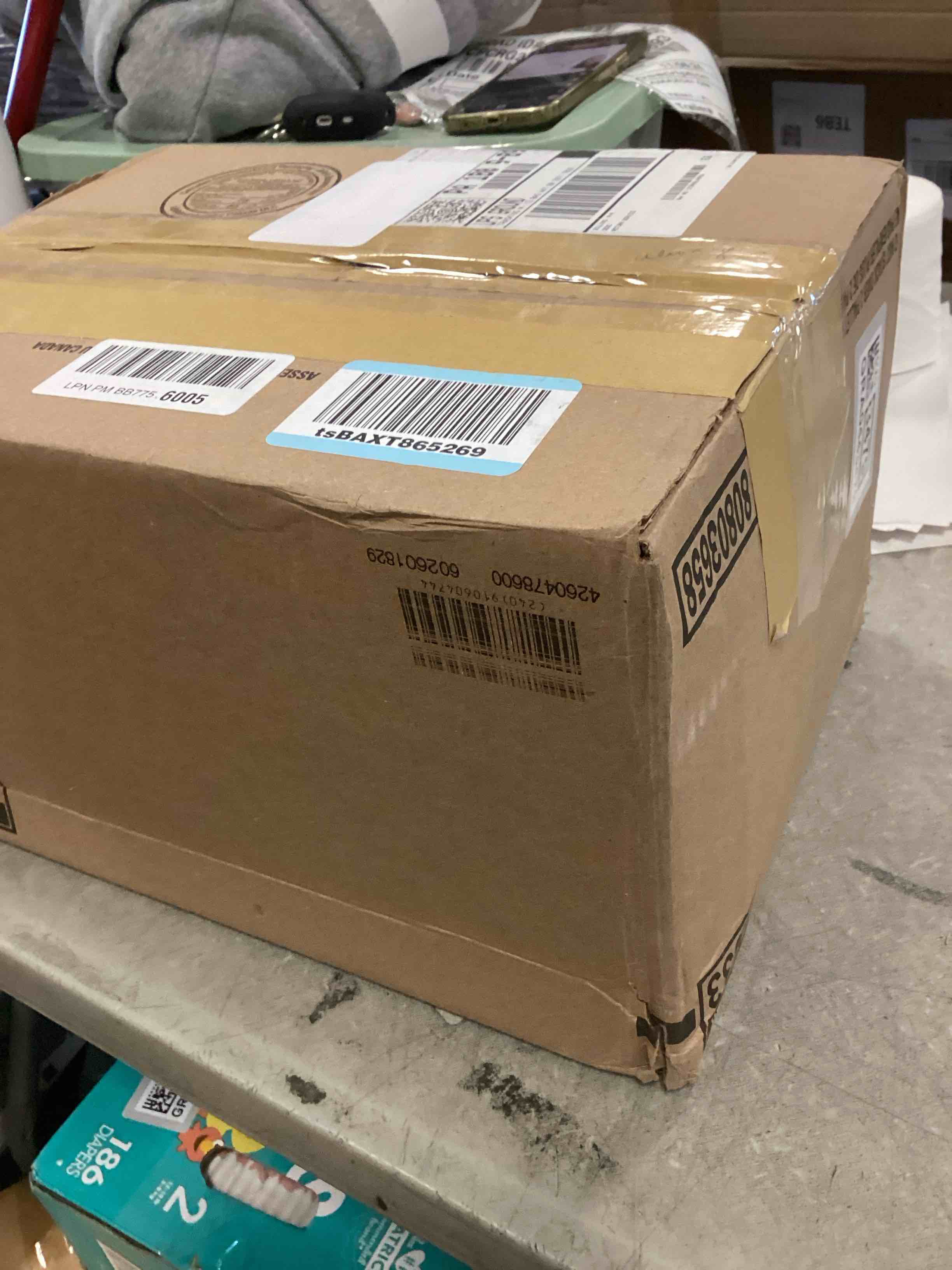 https://s3.amazonaws.com/lotting-images-prod/bidfta/GRA0443479_1731356564235.jpeg